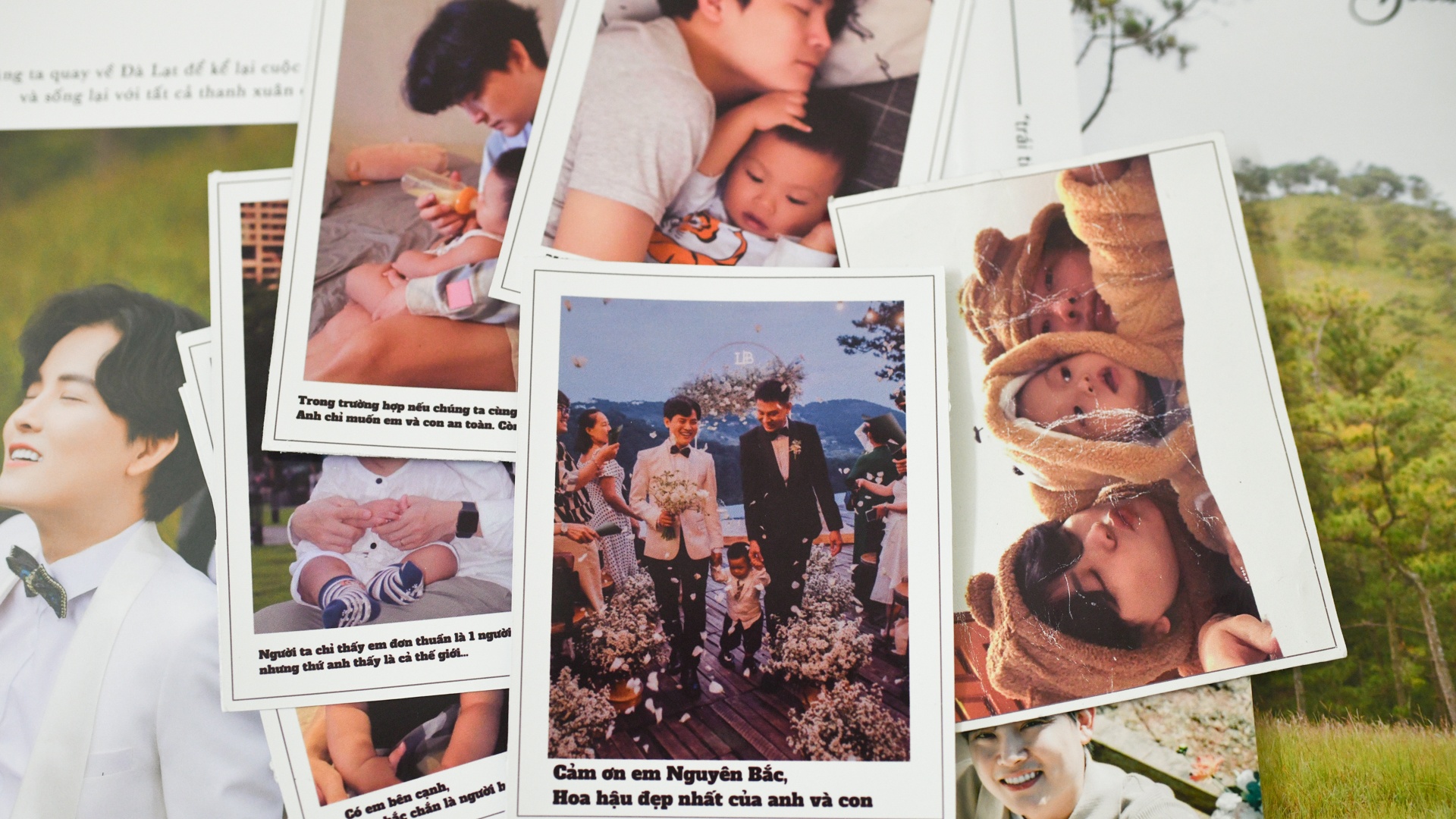 Gia đình nhà Cọp ảnh 2 Gia dinh nha Cop anh 2