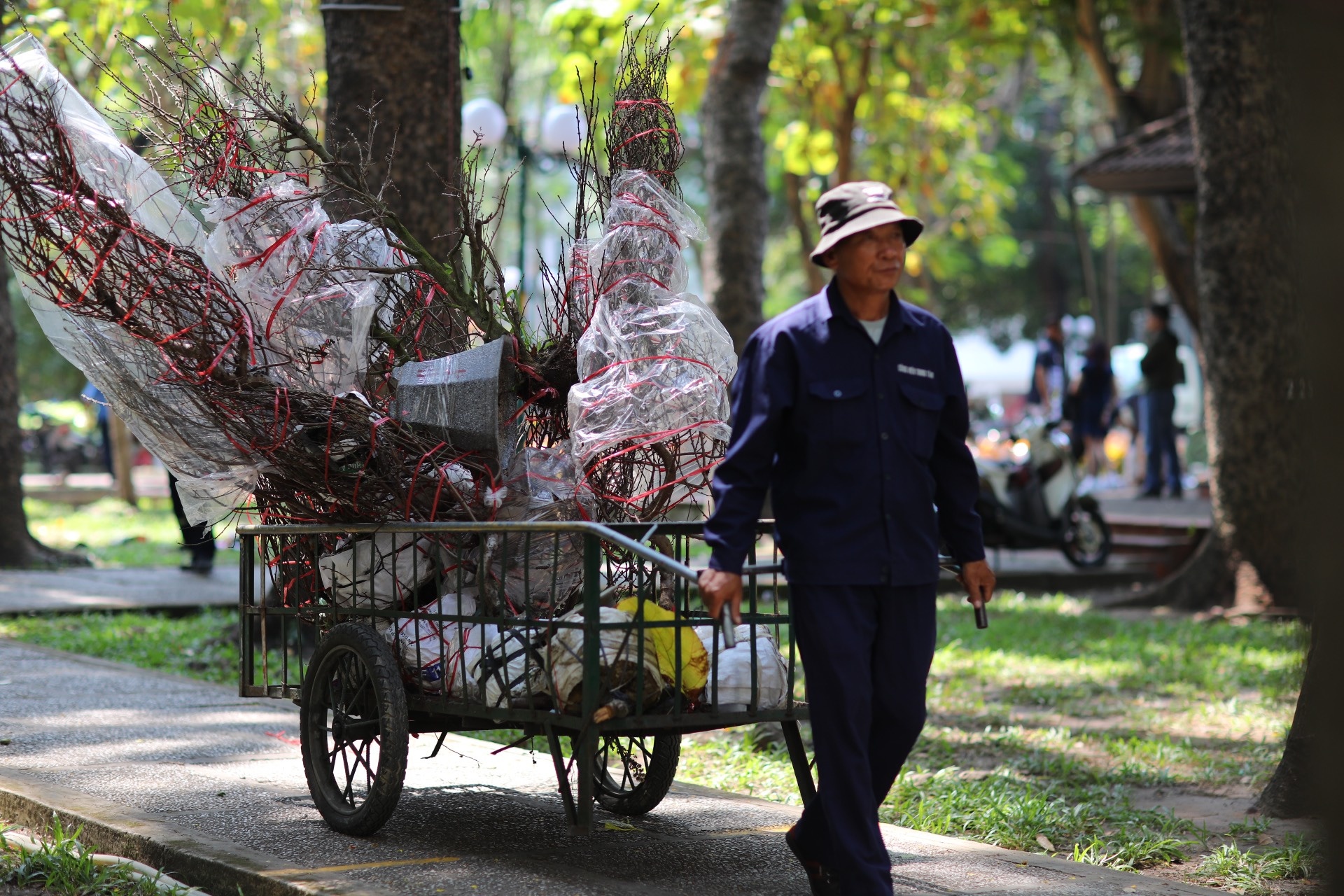 Dao Tet TP.HCM dai ha gia tu 2 trieu xuong 100.000 dong van e hinh anh
