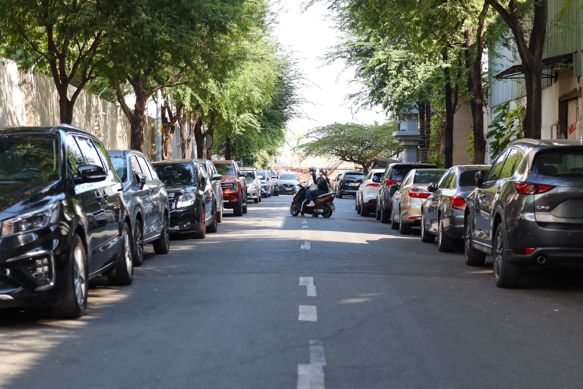 Thai Van Lung cai tao anh 5