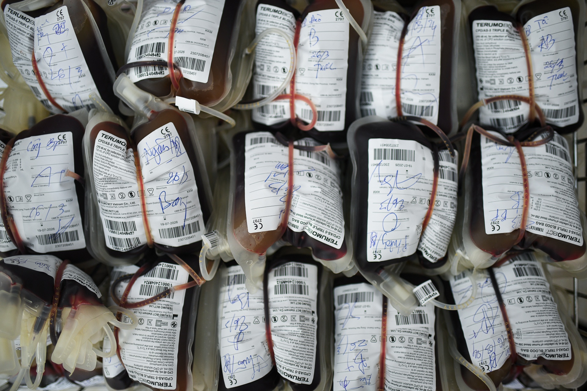 doi lay mau Cho Ray anh 16