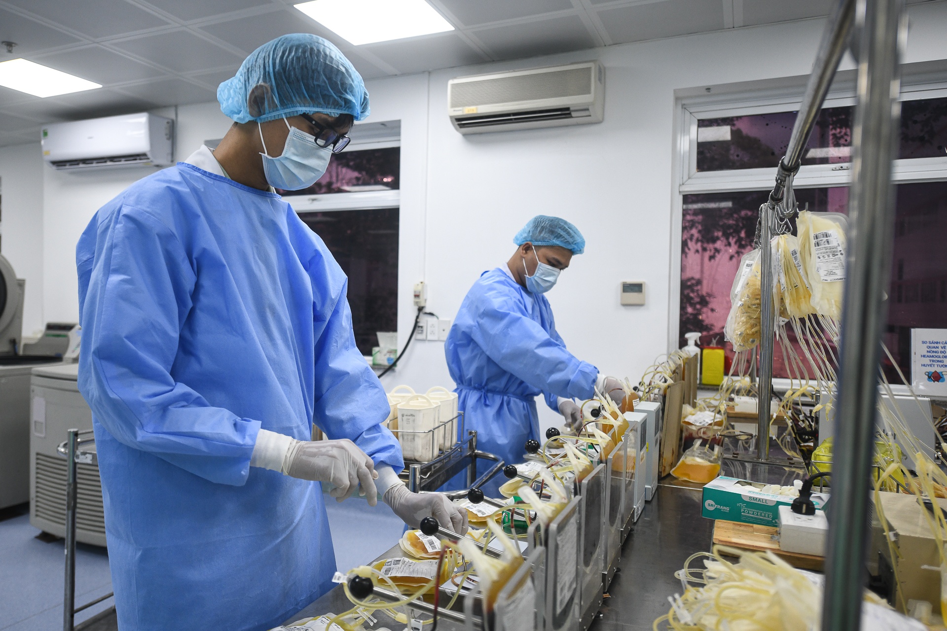 doi lay mau Cho Ray anh 25