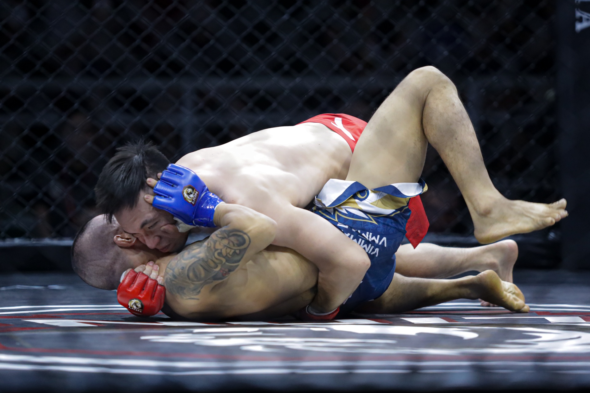Johhny Tri Nguyen MMA anh 2