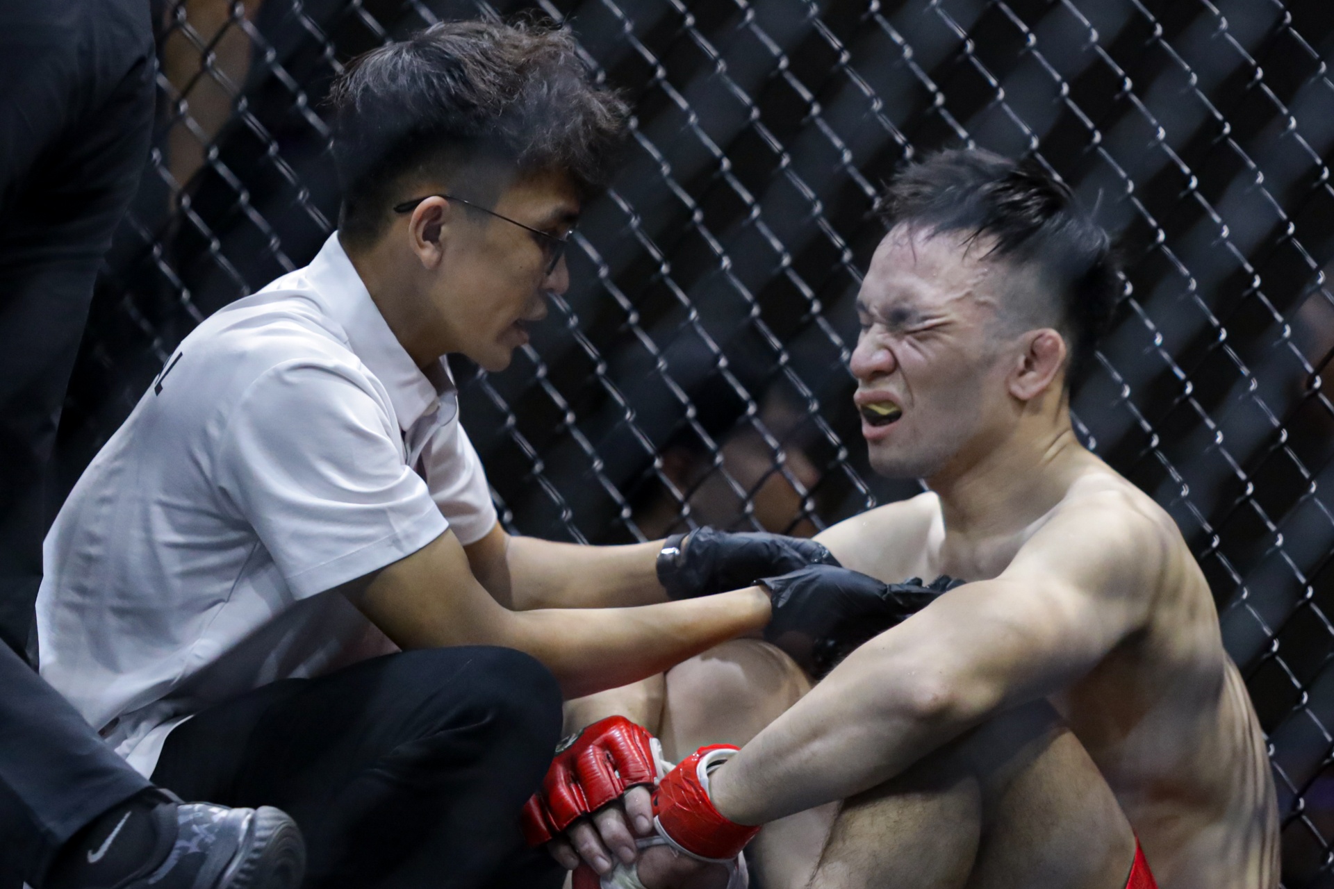 Johhny Tri Nguyen MMA anh 3