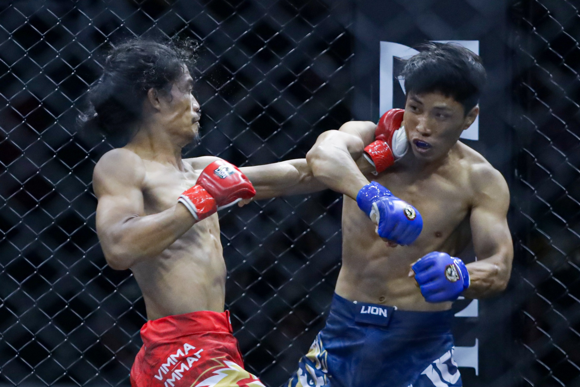 Johhny Tri Nguyen MMA anh 10
