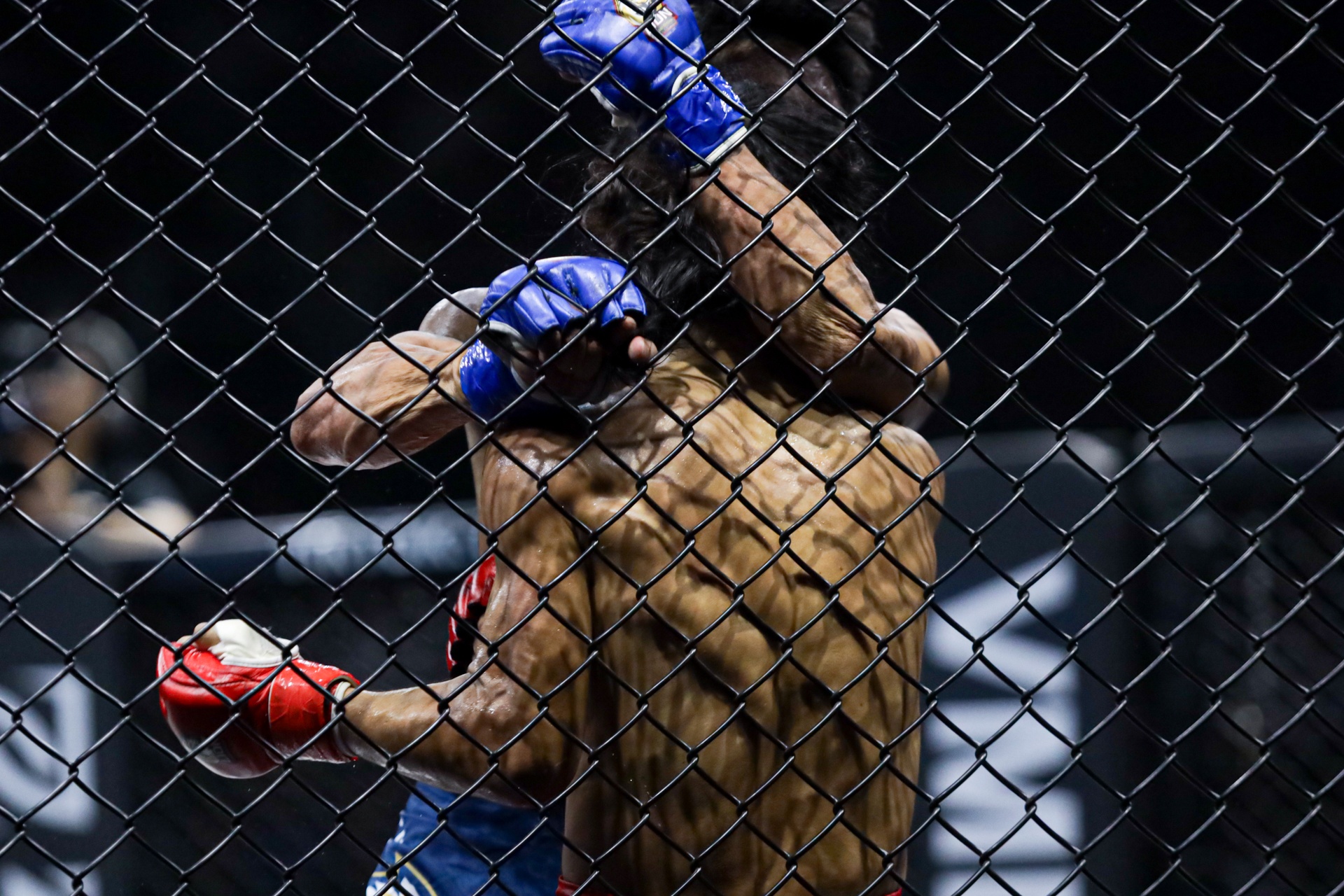 Johhny Tri Nguyen MMA anh 8