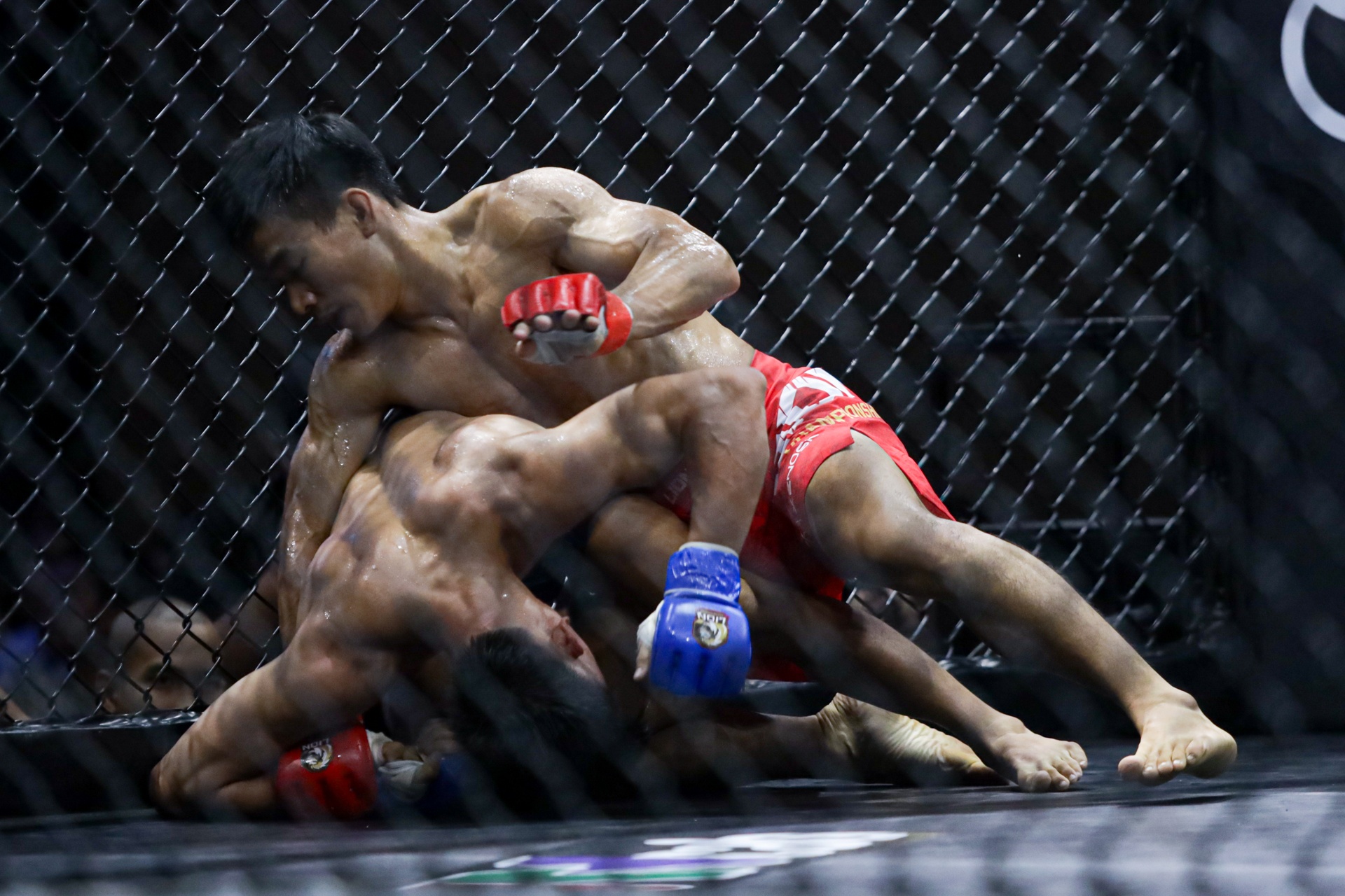 Johnny Tri Nguyen anh 6