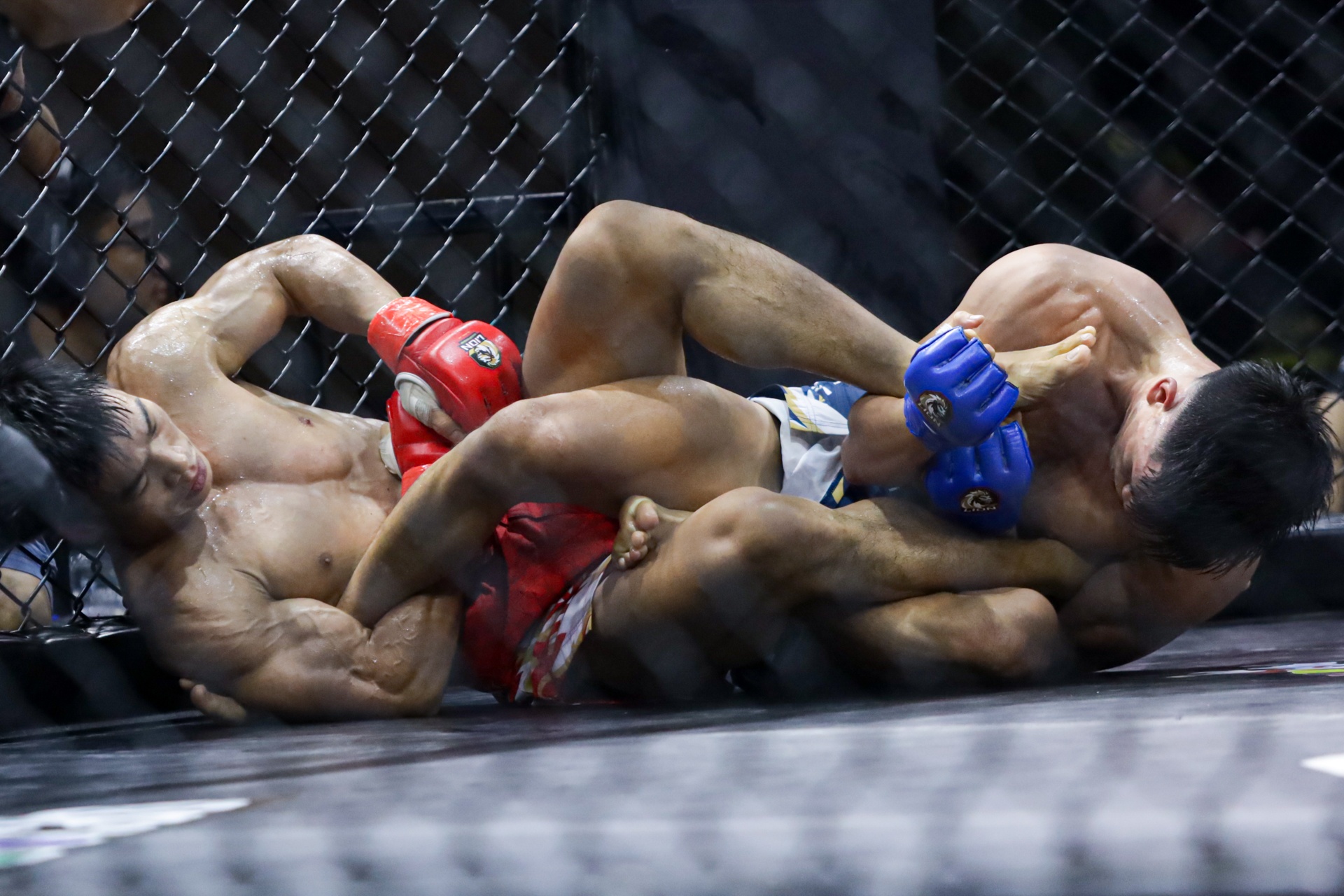 Johnny Tri Nguyen anh 3