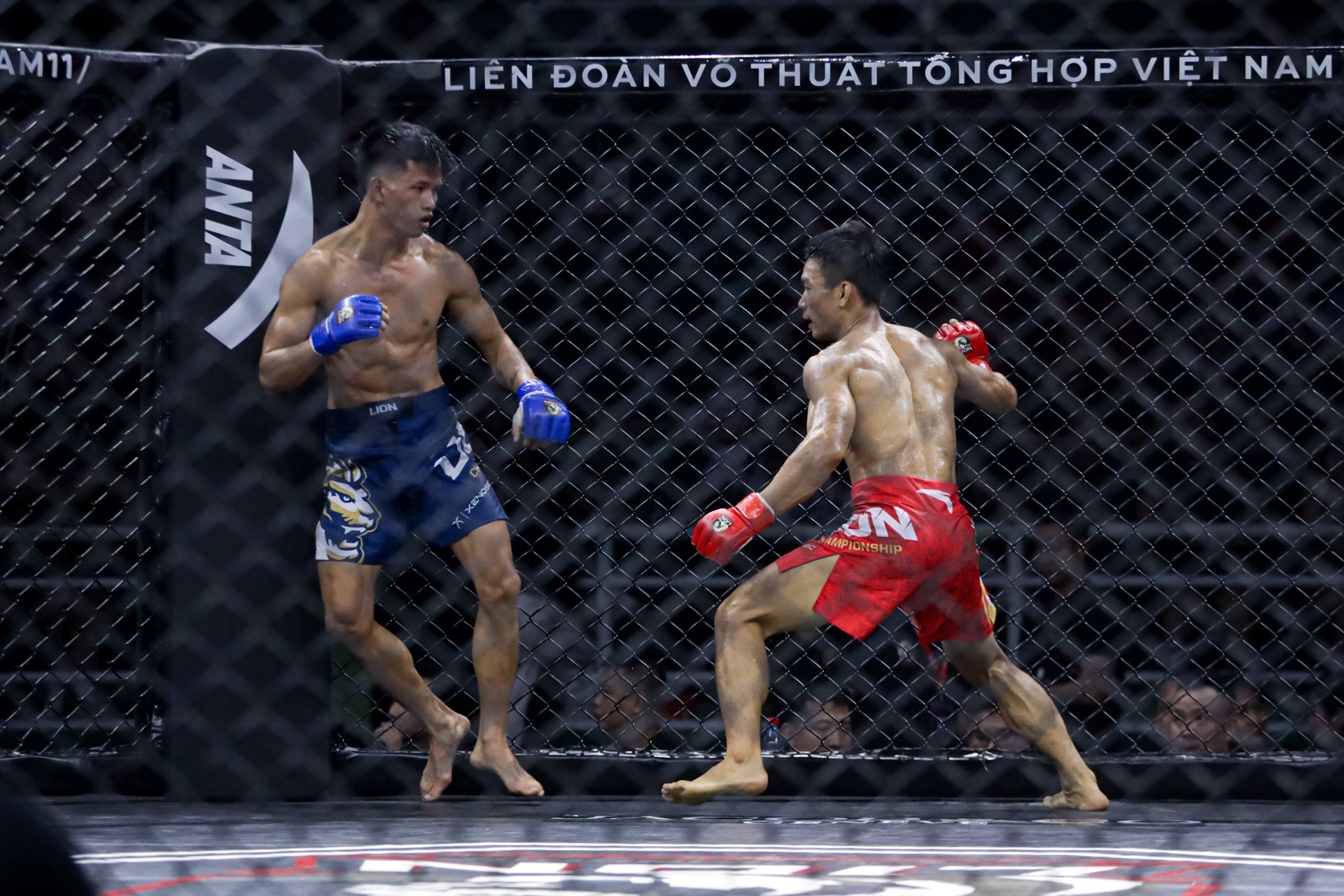 Johhny Tri Nguyen MMA anh 7