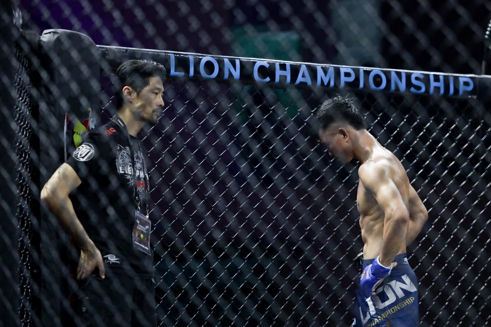 Johnny Tri Nguyen anh 4