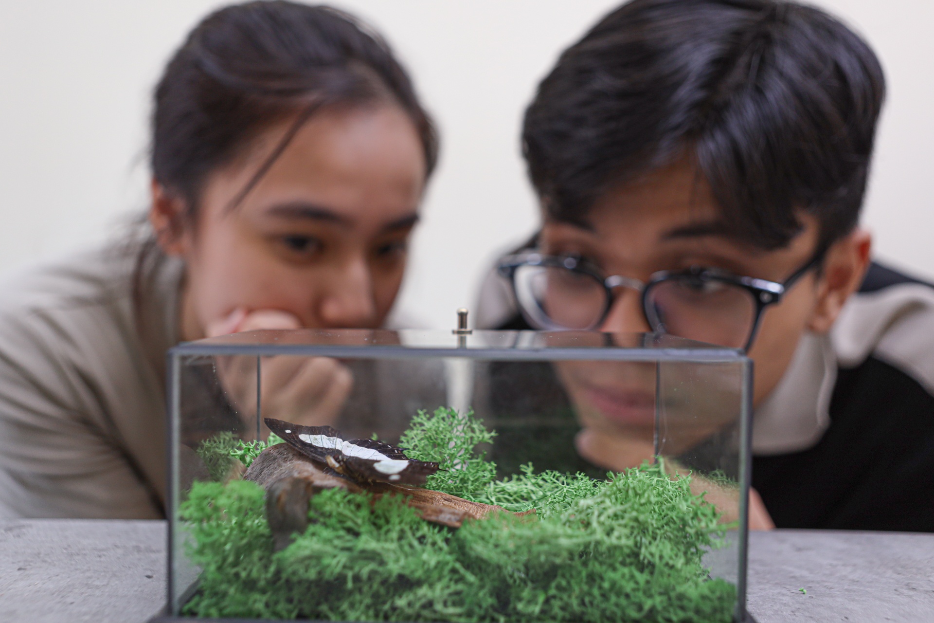 Nguoi tre TP.HCM ru nhau di workshop lam tieu ban buom, bo canh cung hinh anh