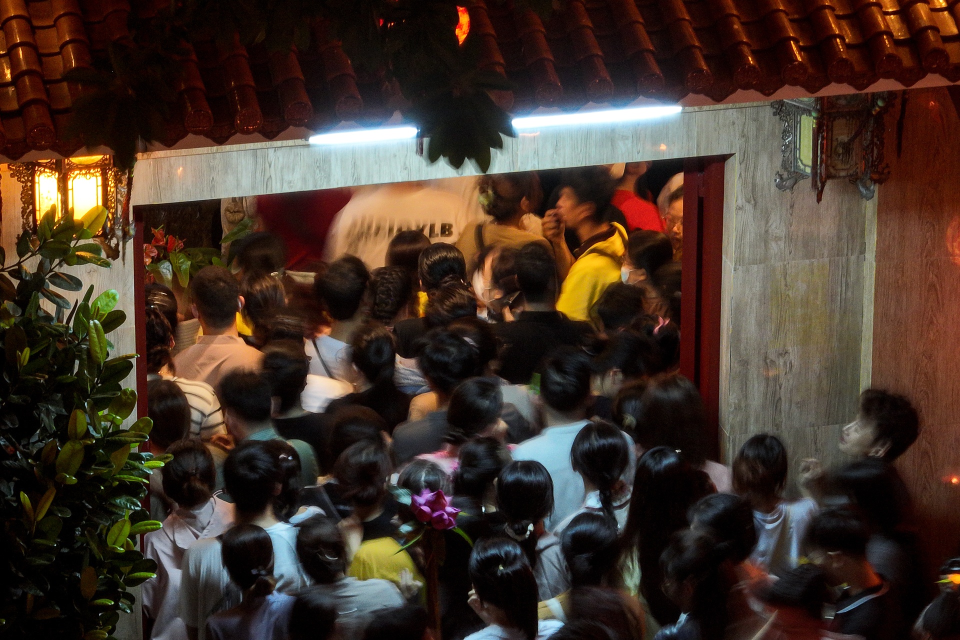 tha hoa dang TP.HCM anh 6