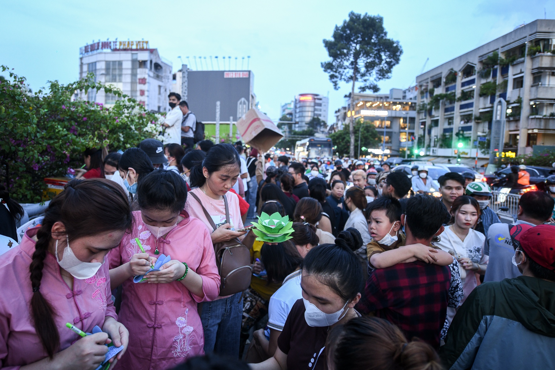 tha hoa dang TP.HCM anh 7