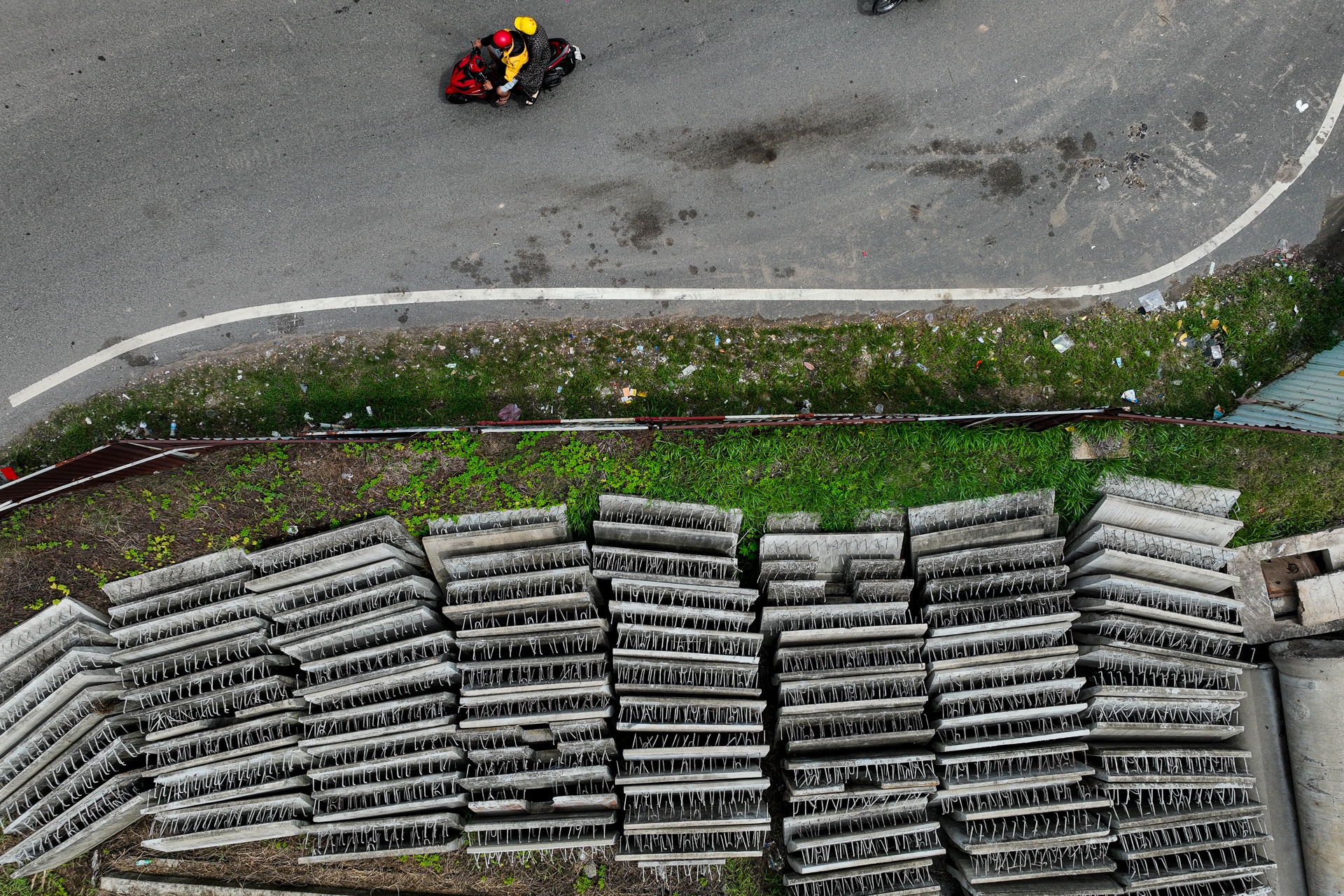 cau bo hoang TP.HCM anh 8