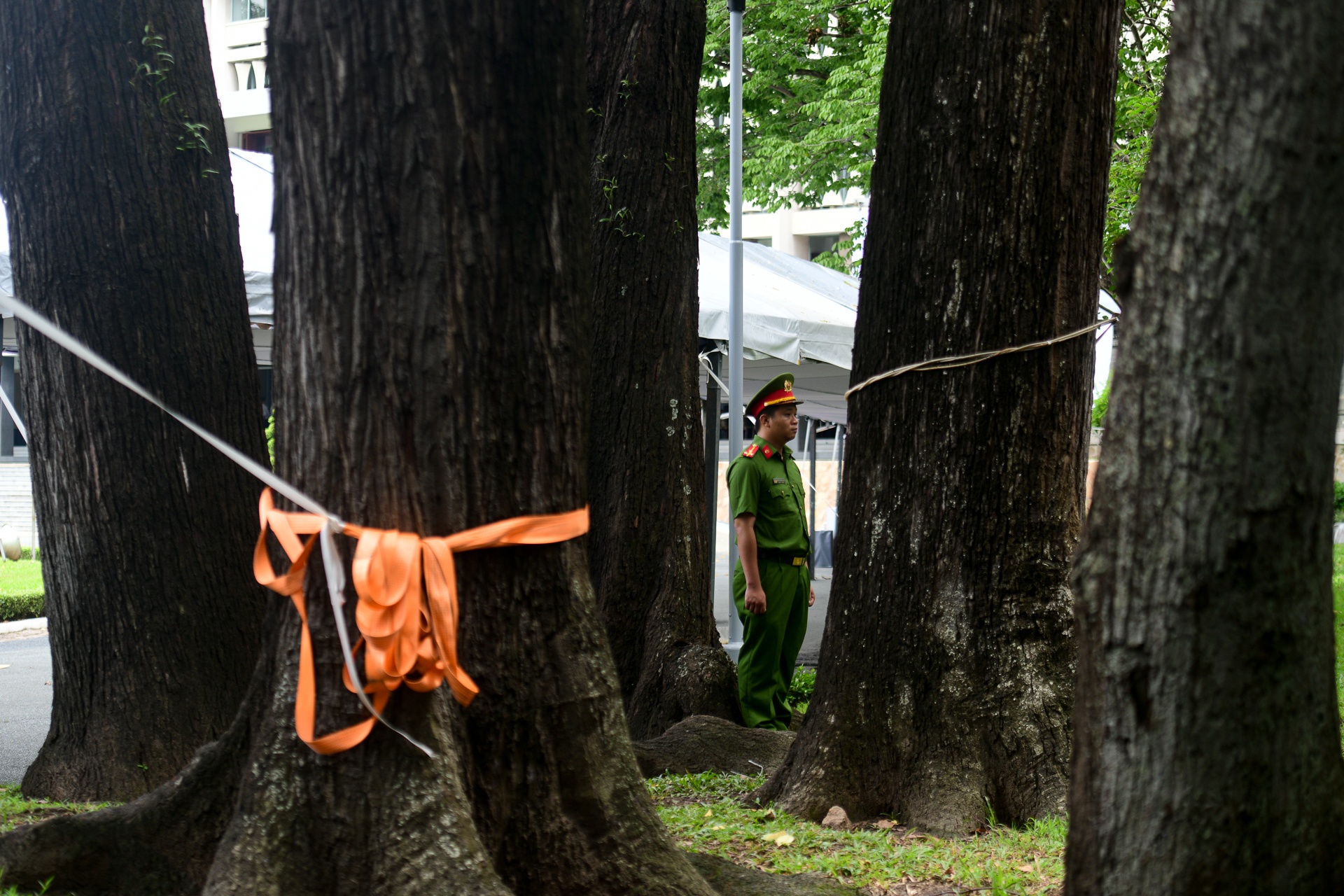 Quoc tang Tong Bi thu, anh 7