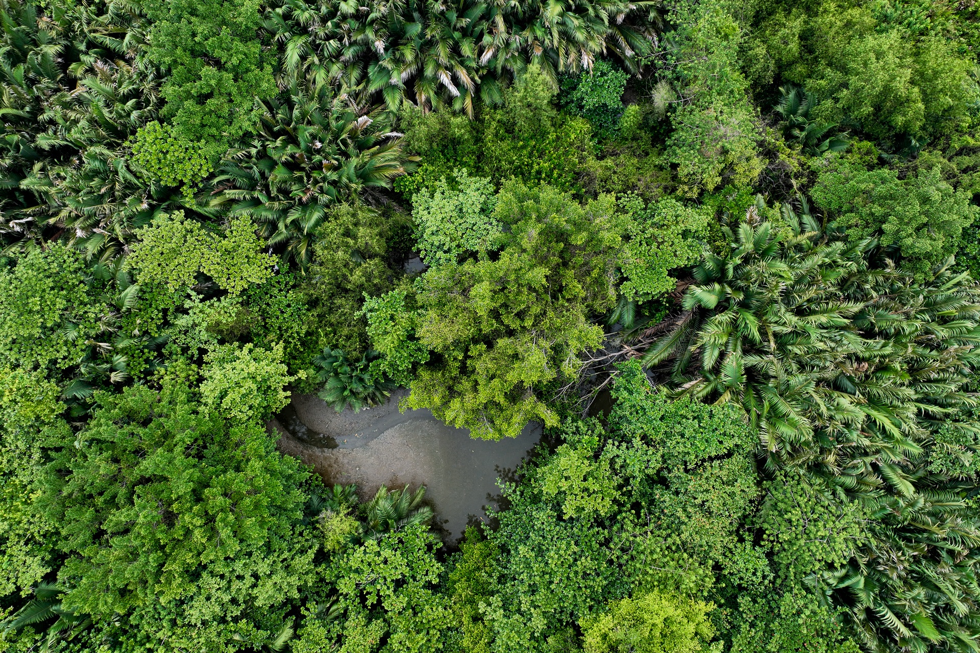 dam lay Thu Thiem anh 4