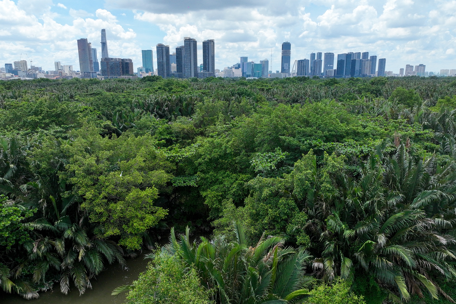 dam lay Thu Thiem anh 3