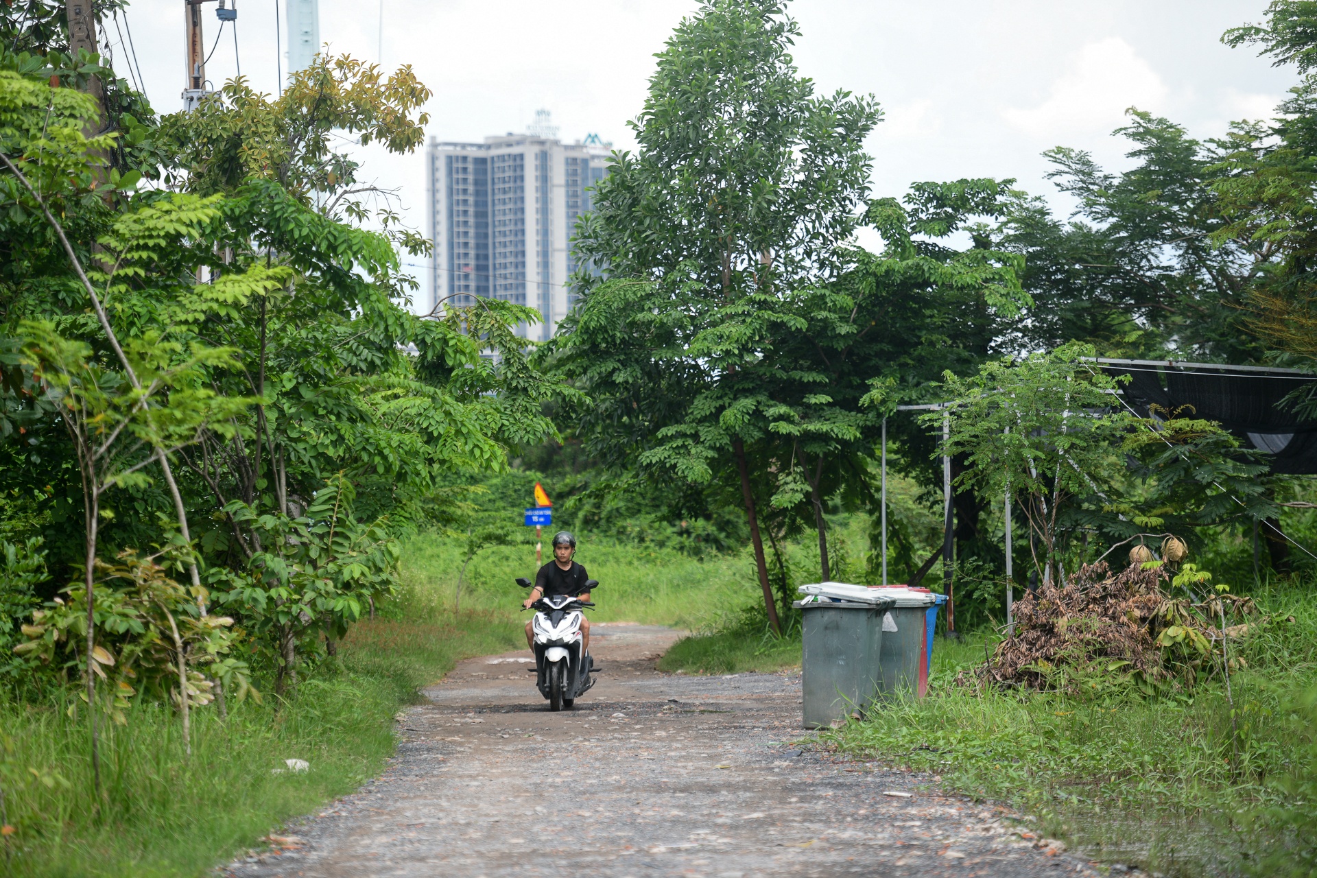 dam lay Thu Thiem anh 7