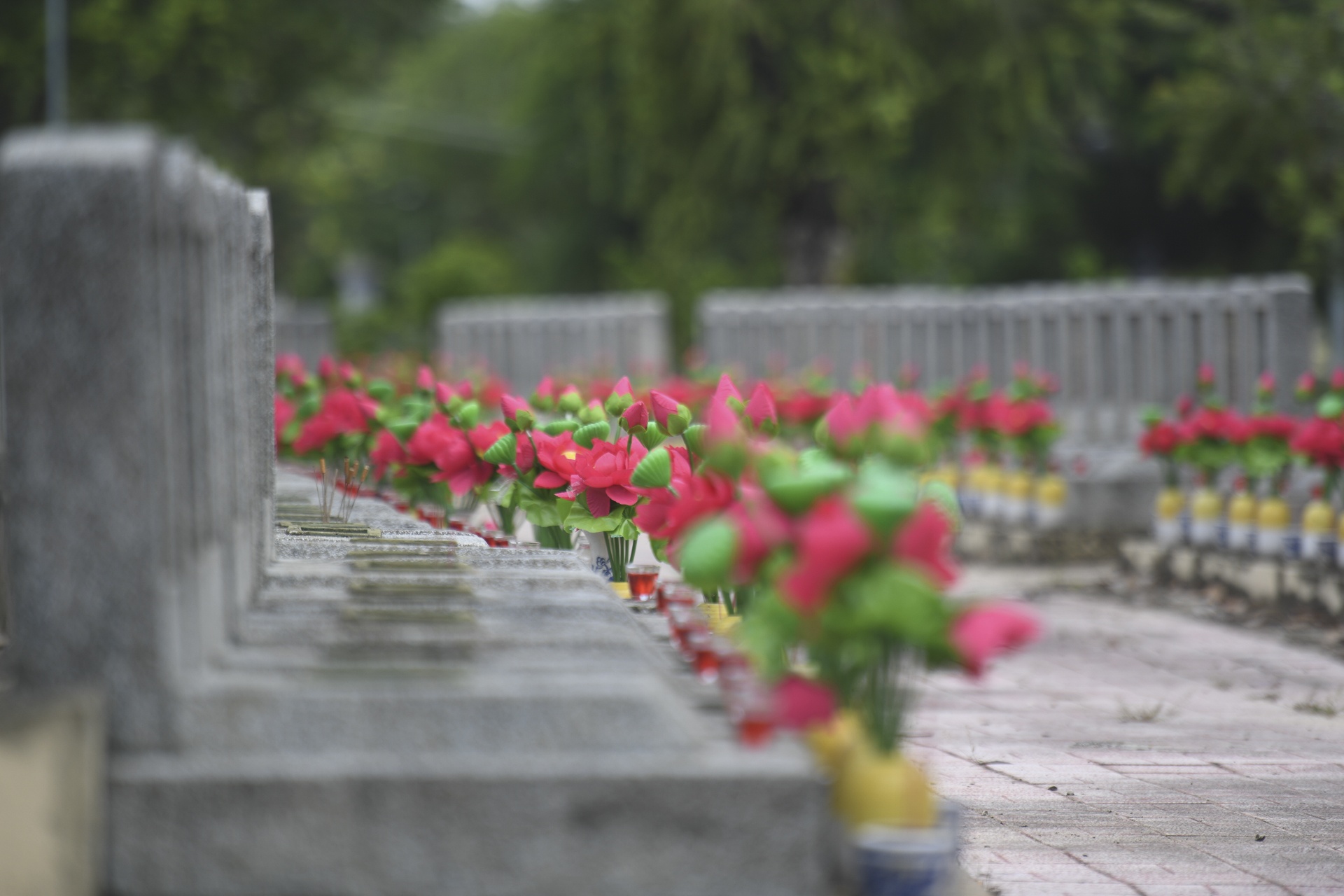 tap chi Cong San anh 7