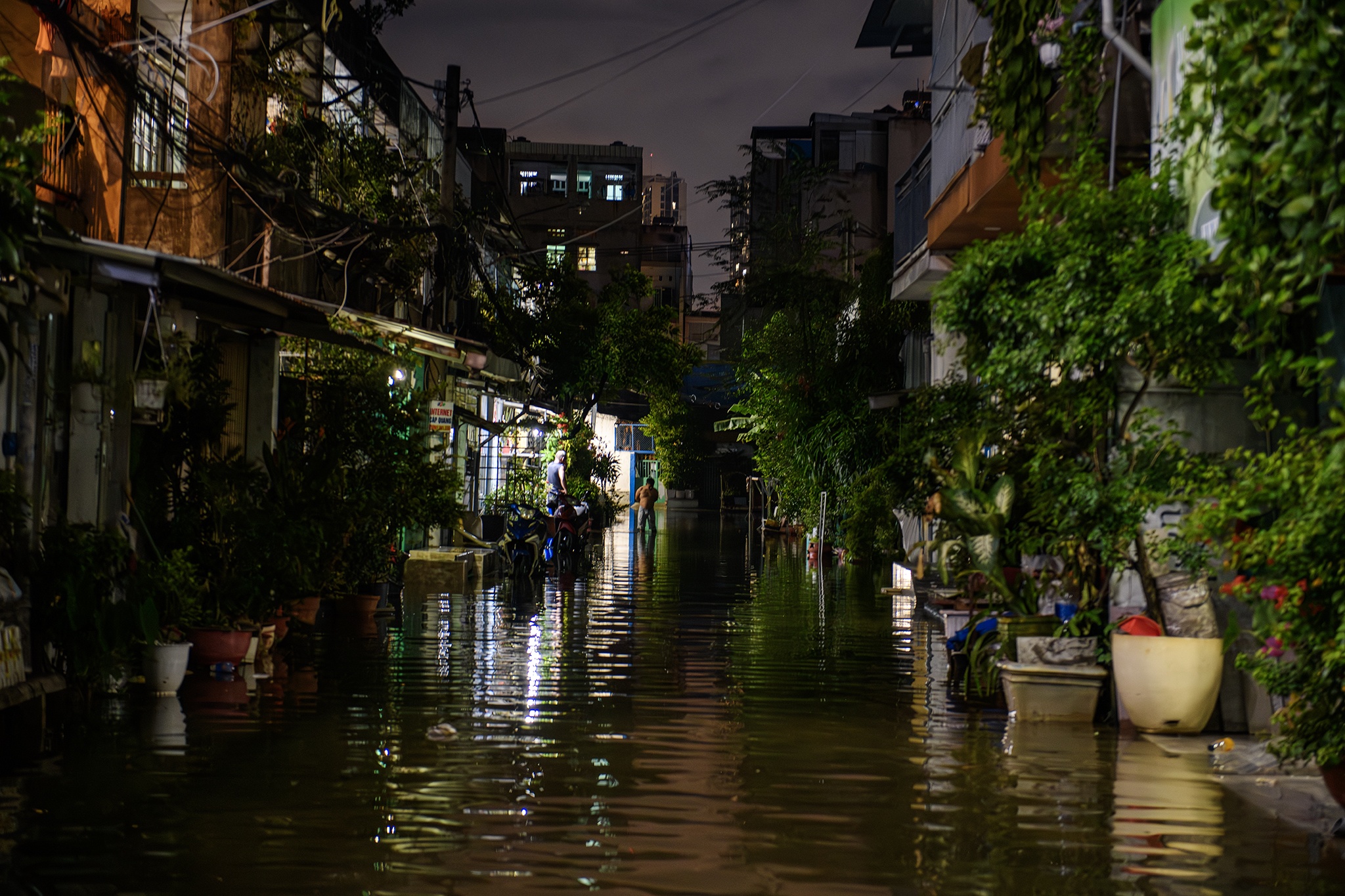 trieu cuong TP.HCM anh 24