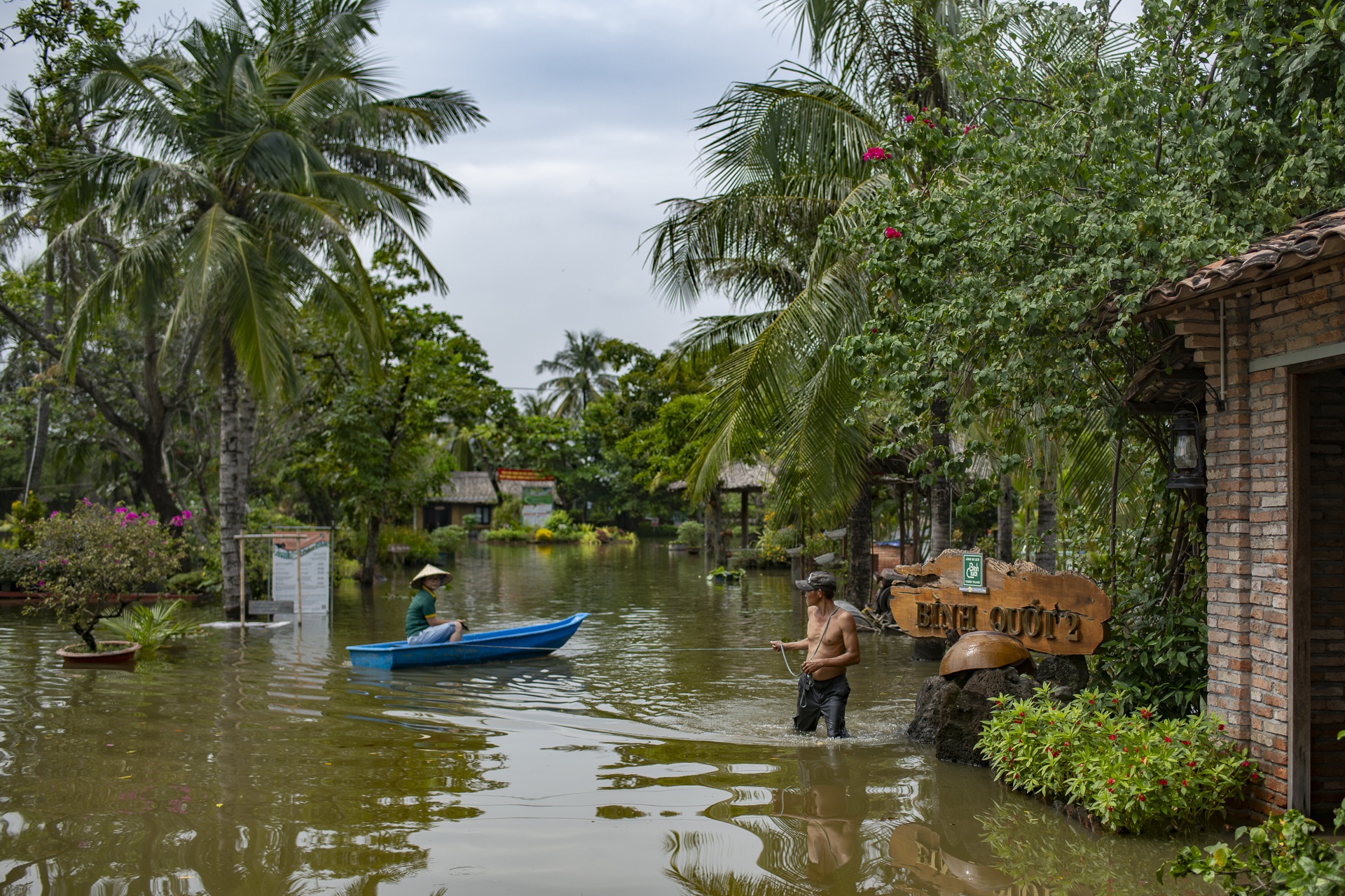 trieu cuong TP.HCM anh 1