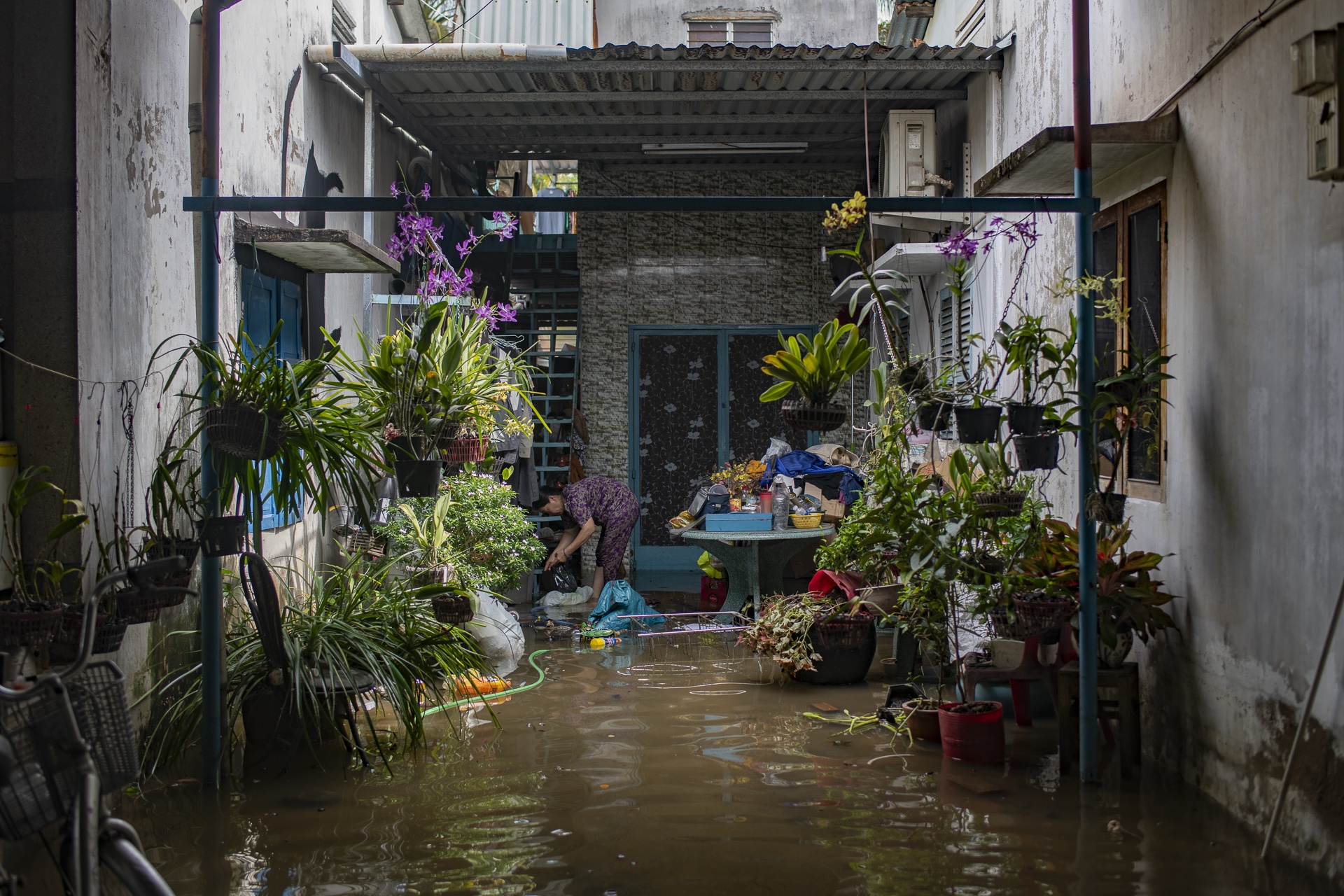 trieu cuong TP.HCM anh 4