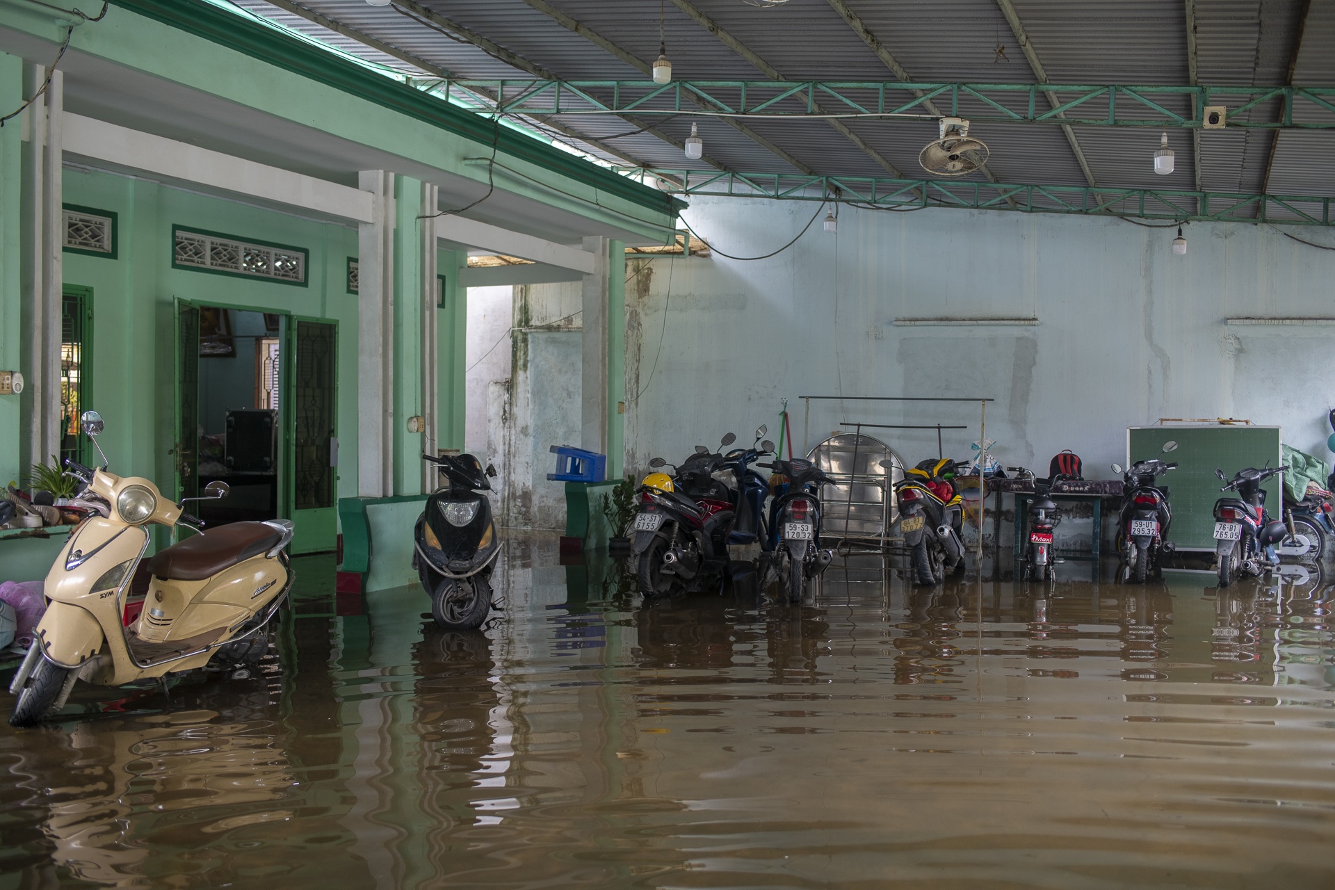 trieu cuong TP.HCM anh 6