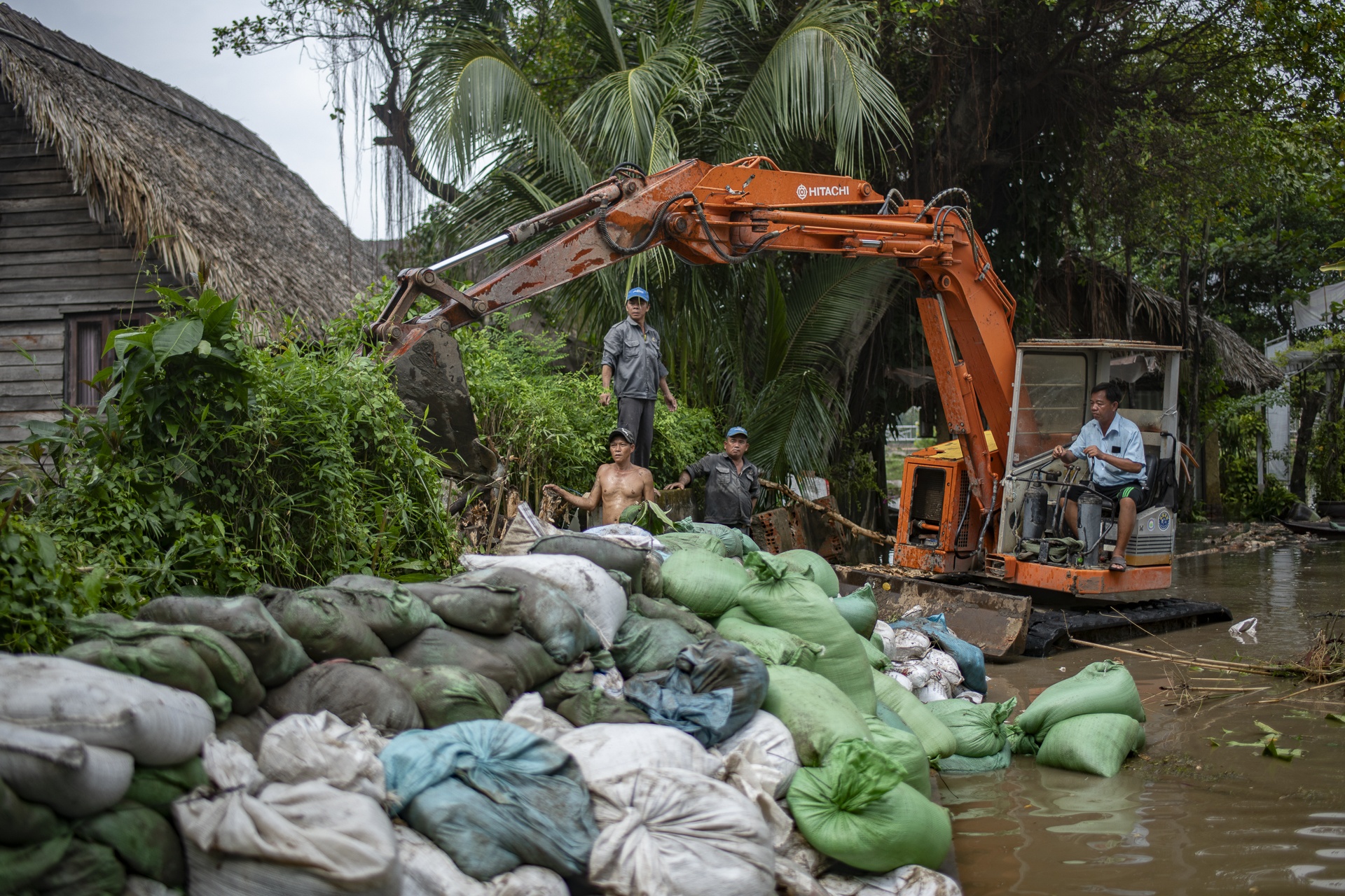 trieu cuong TP.HCM anh 11