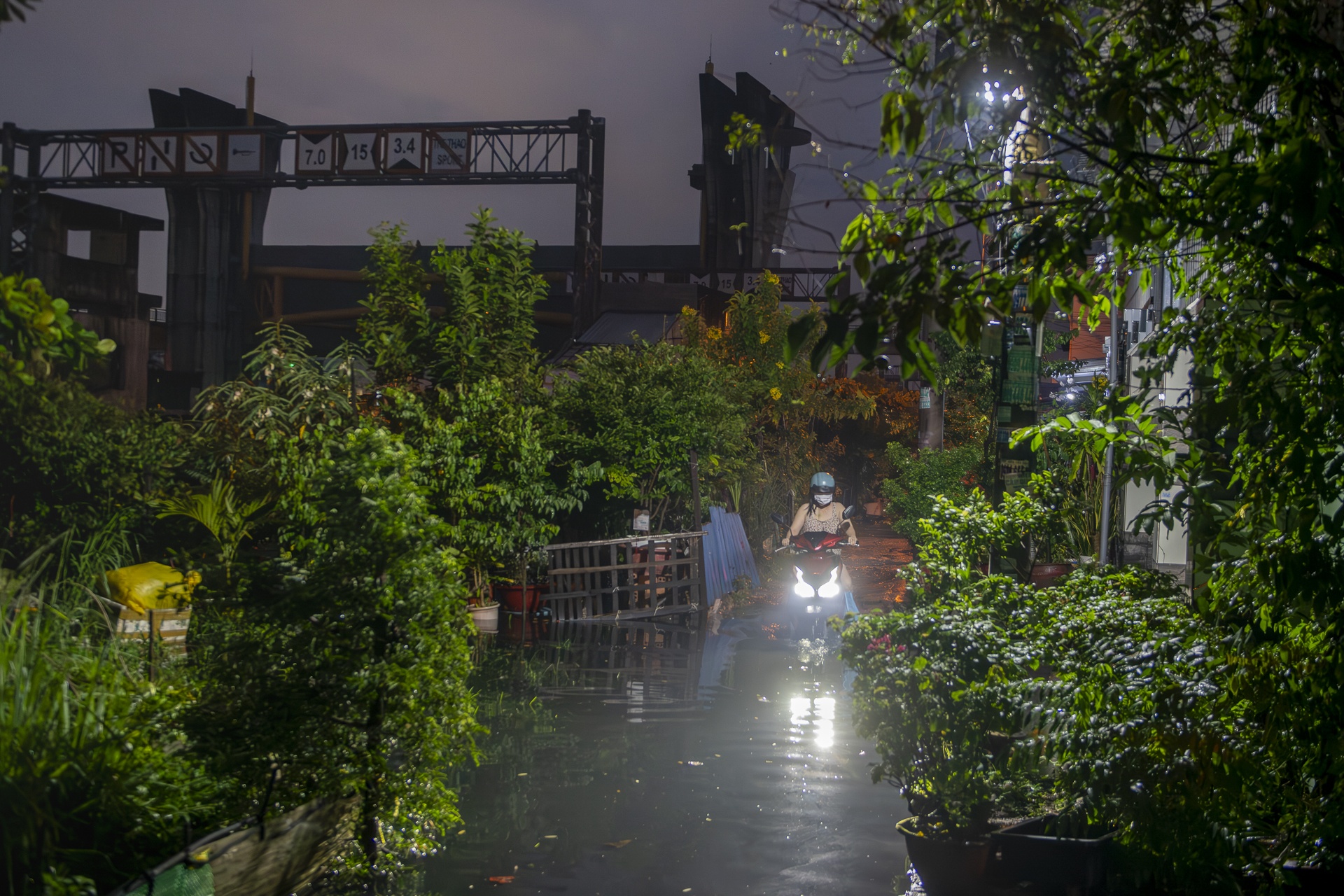 trieu cuong TP.HCM anh 17