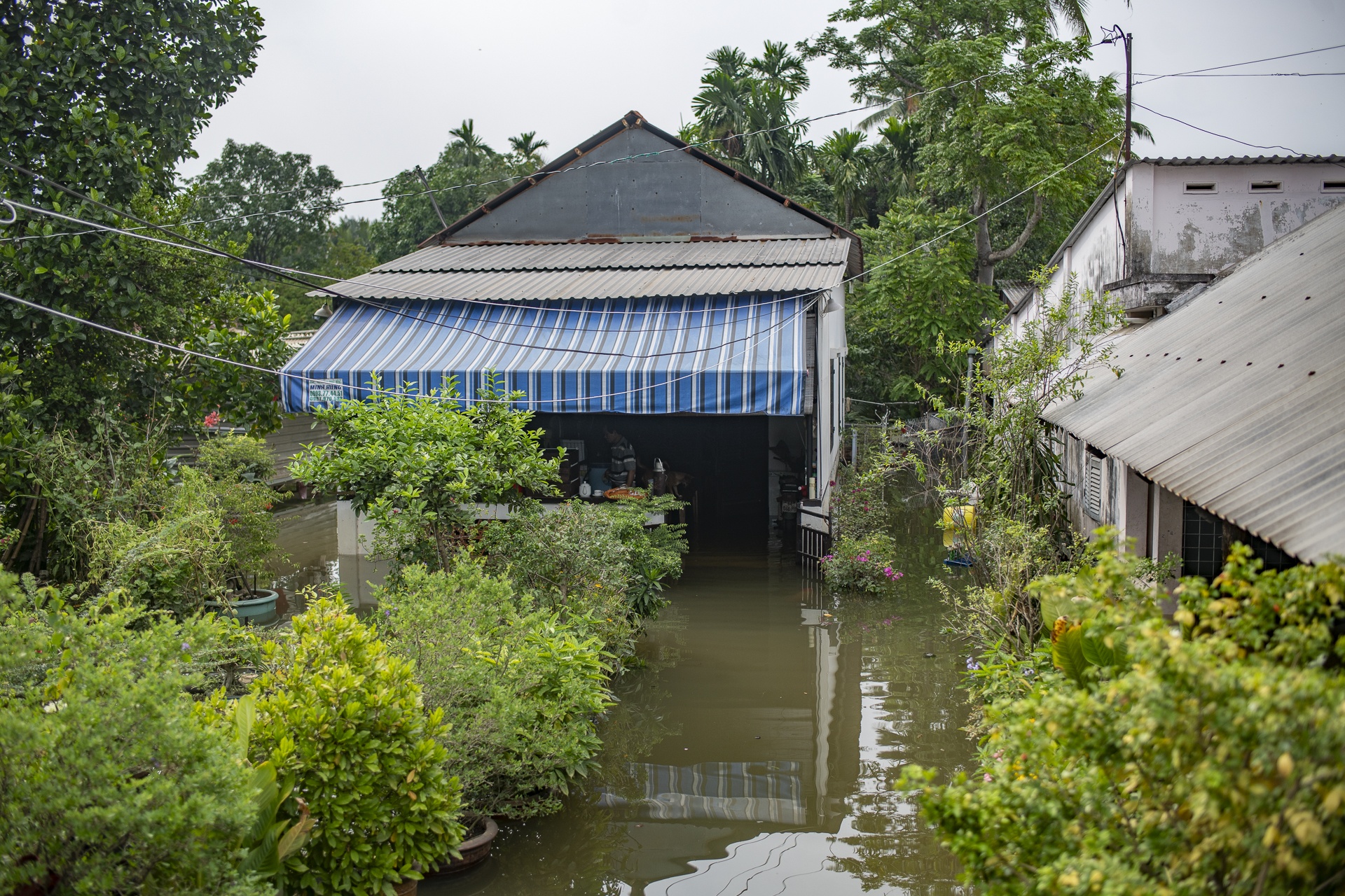 trieu cuong TP.HCM anh 12