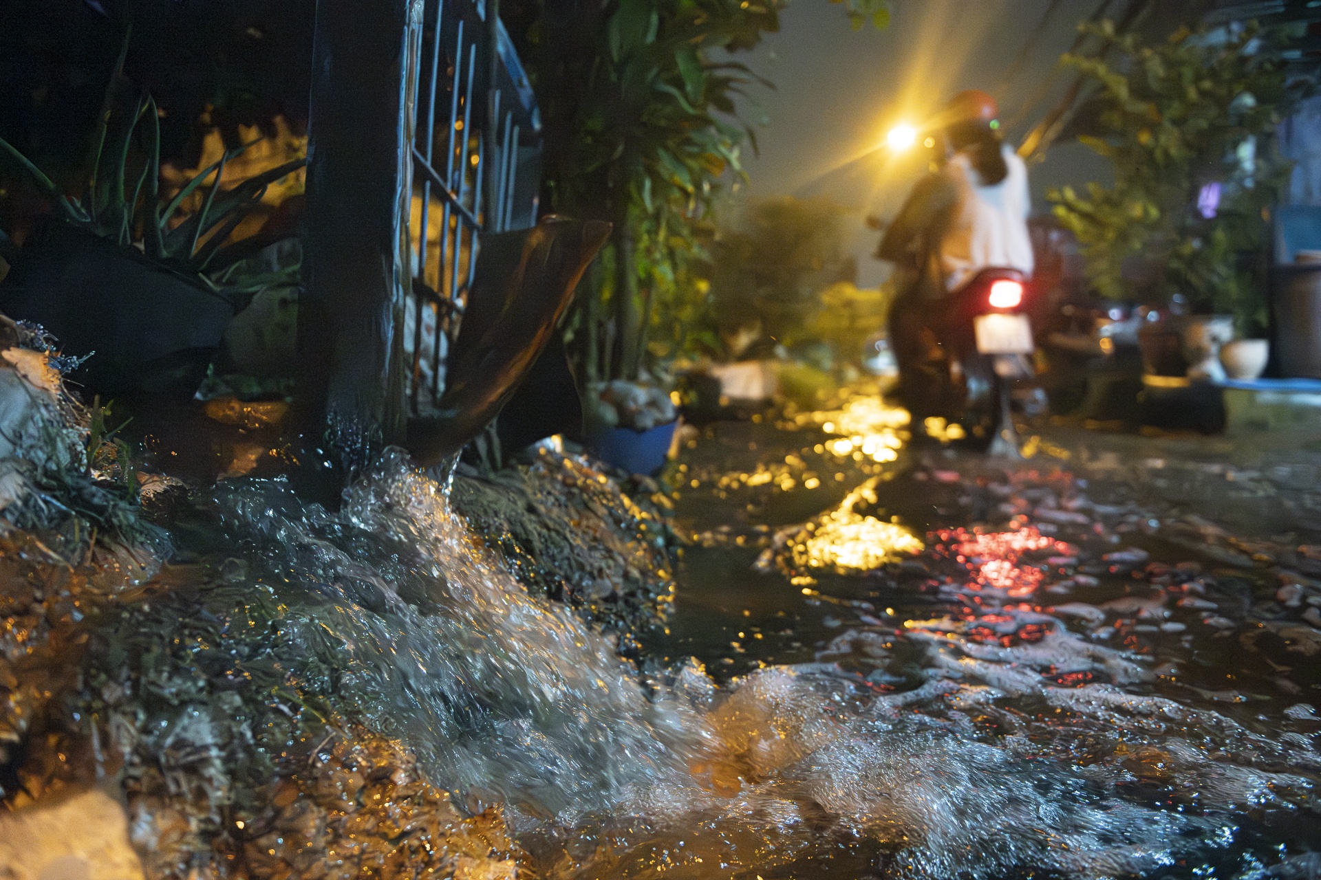 trieu cuong TP.HCM anh 22