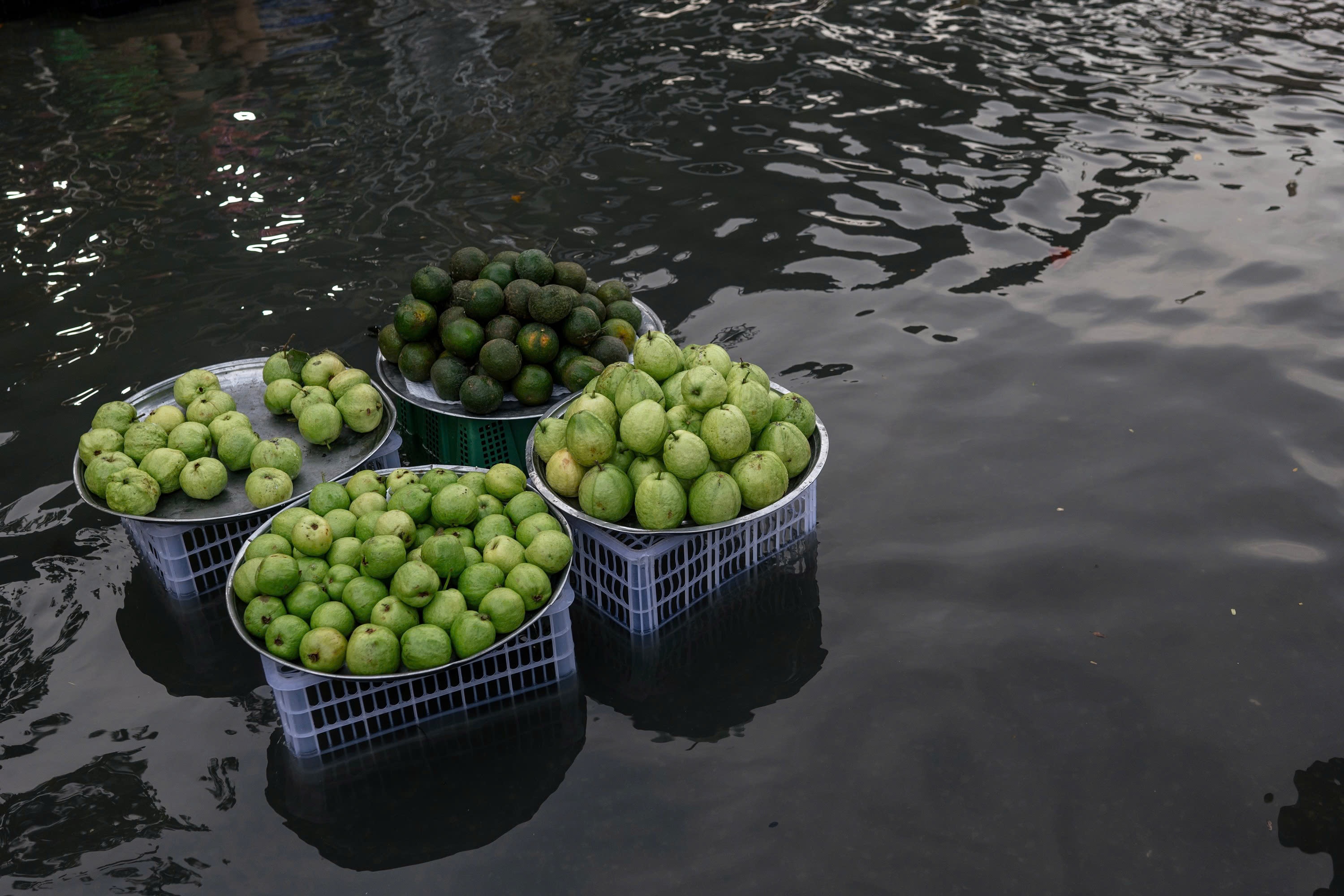 trieu cuong TP.HCM anh 7