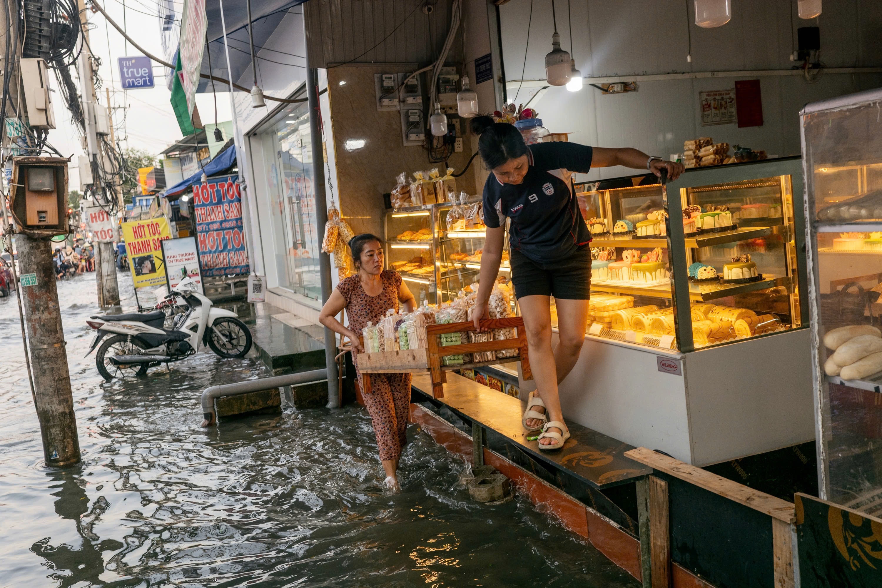 trieu cuong TP.HCM anh 6