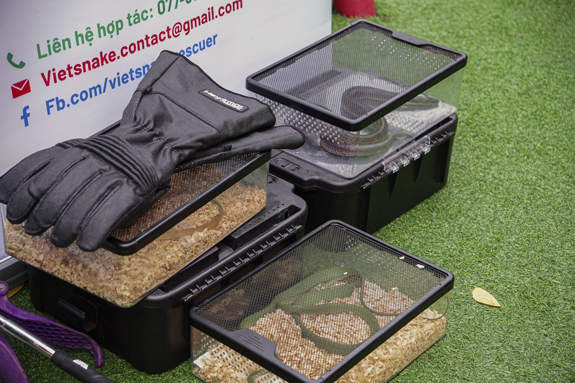 ran doc TP.HCM anh 4