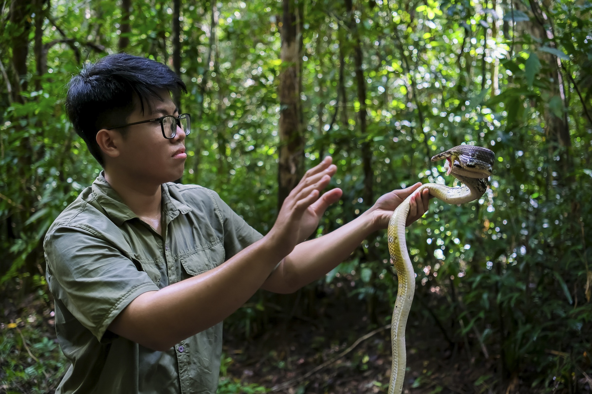 ran doc TP.HCM anh 3