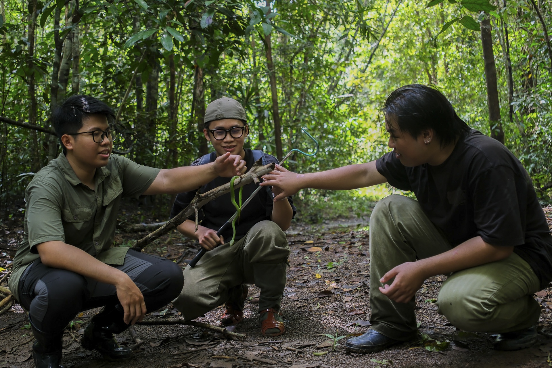 ran doc TP.HCM anh 6