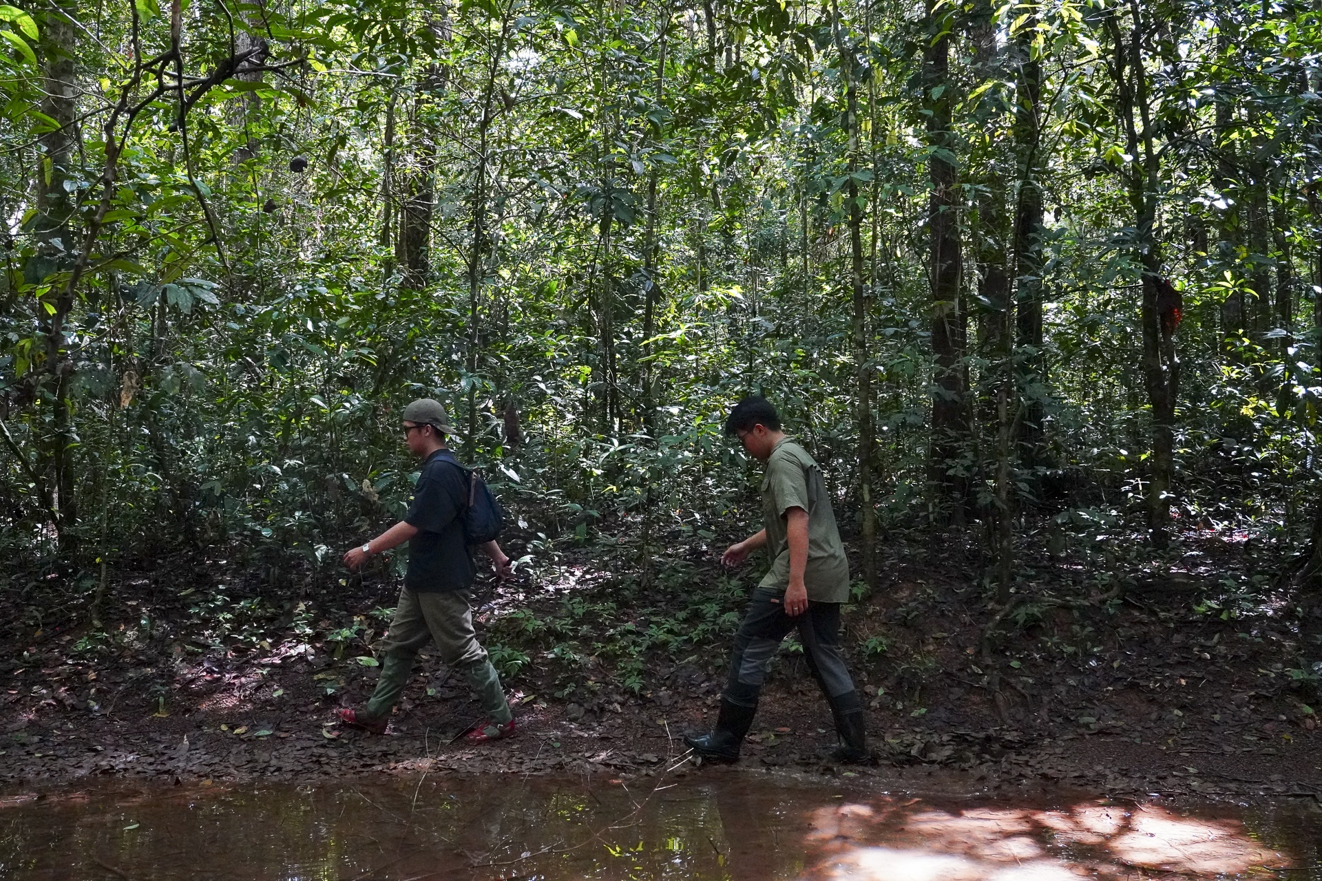 ran doc TP.HCM anh 1