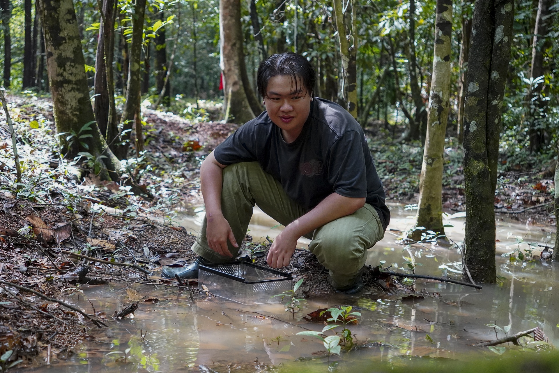 ran doc TP.HCM anh 8