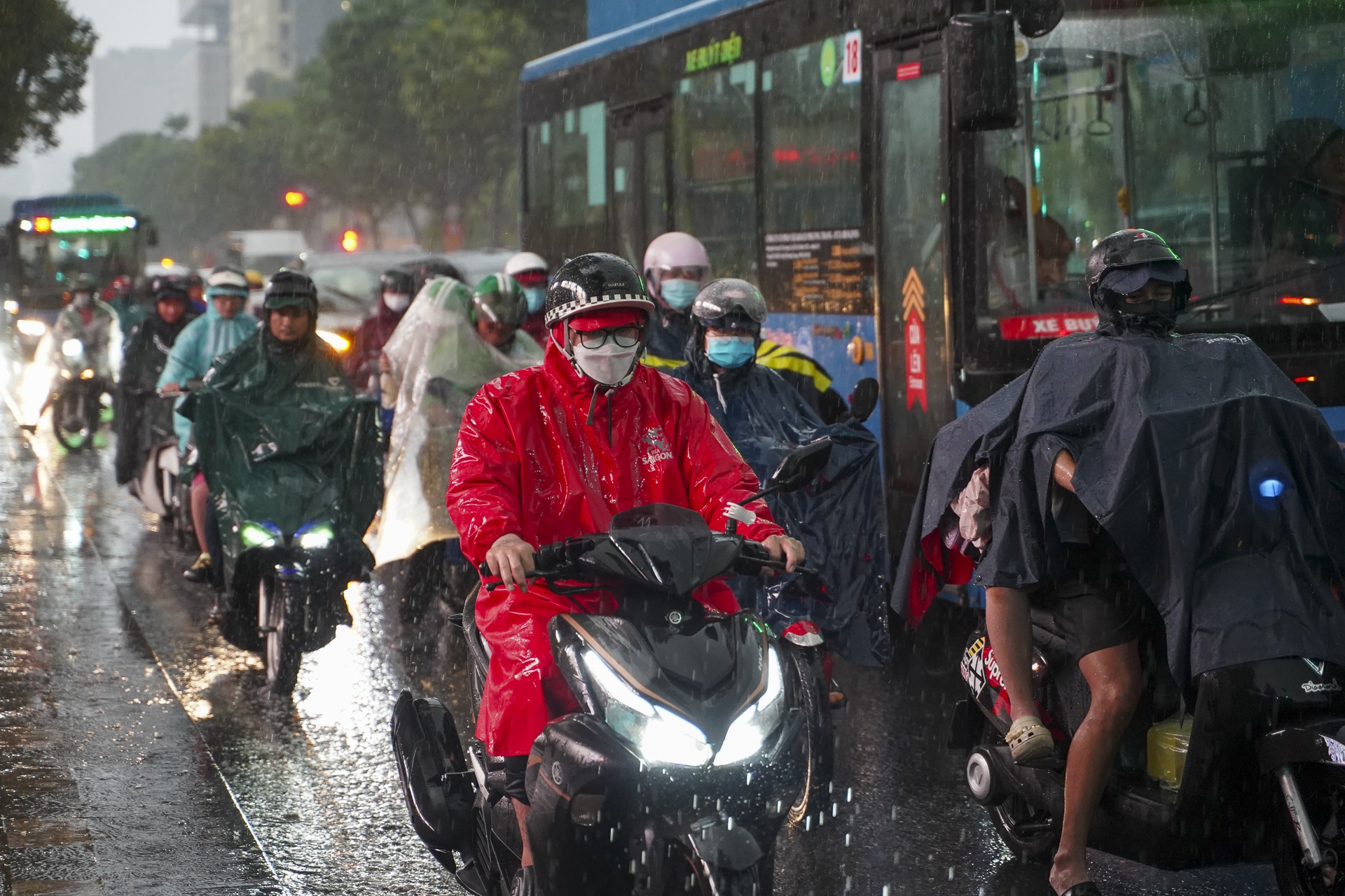 mua trai mua TP.HCM anh 9