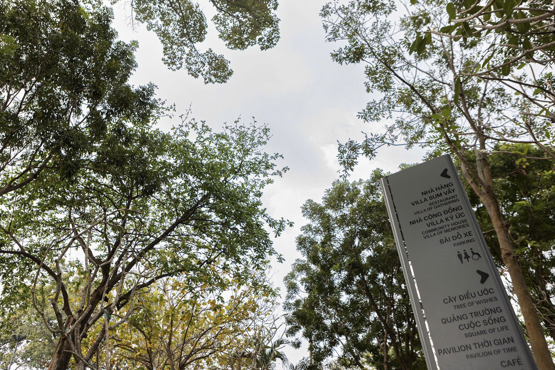 dai tuong niem Covid-19 anh 9