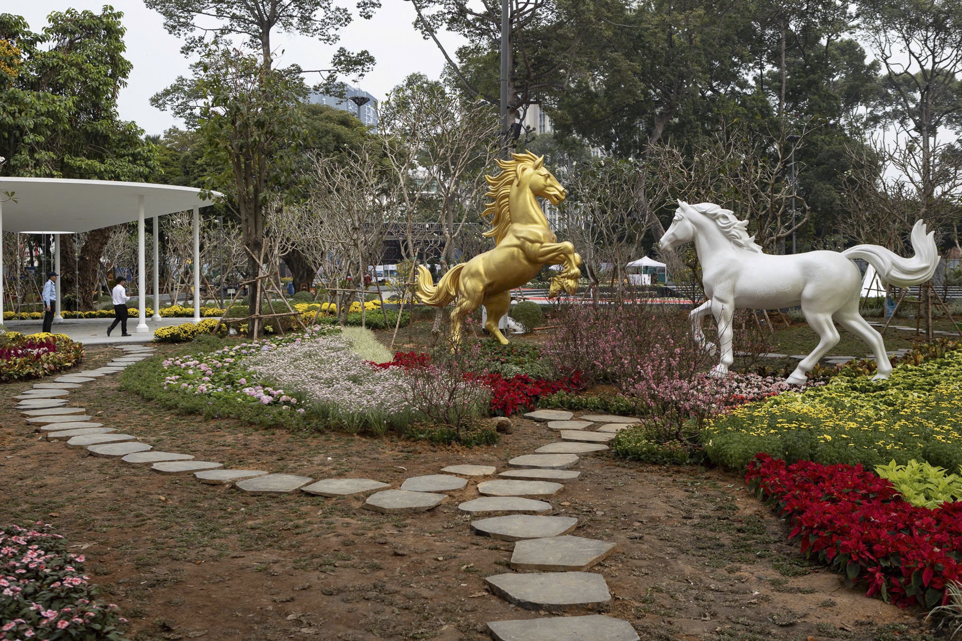 dai tuong niem Covid-19 anh 8