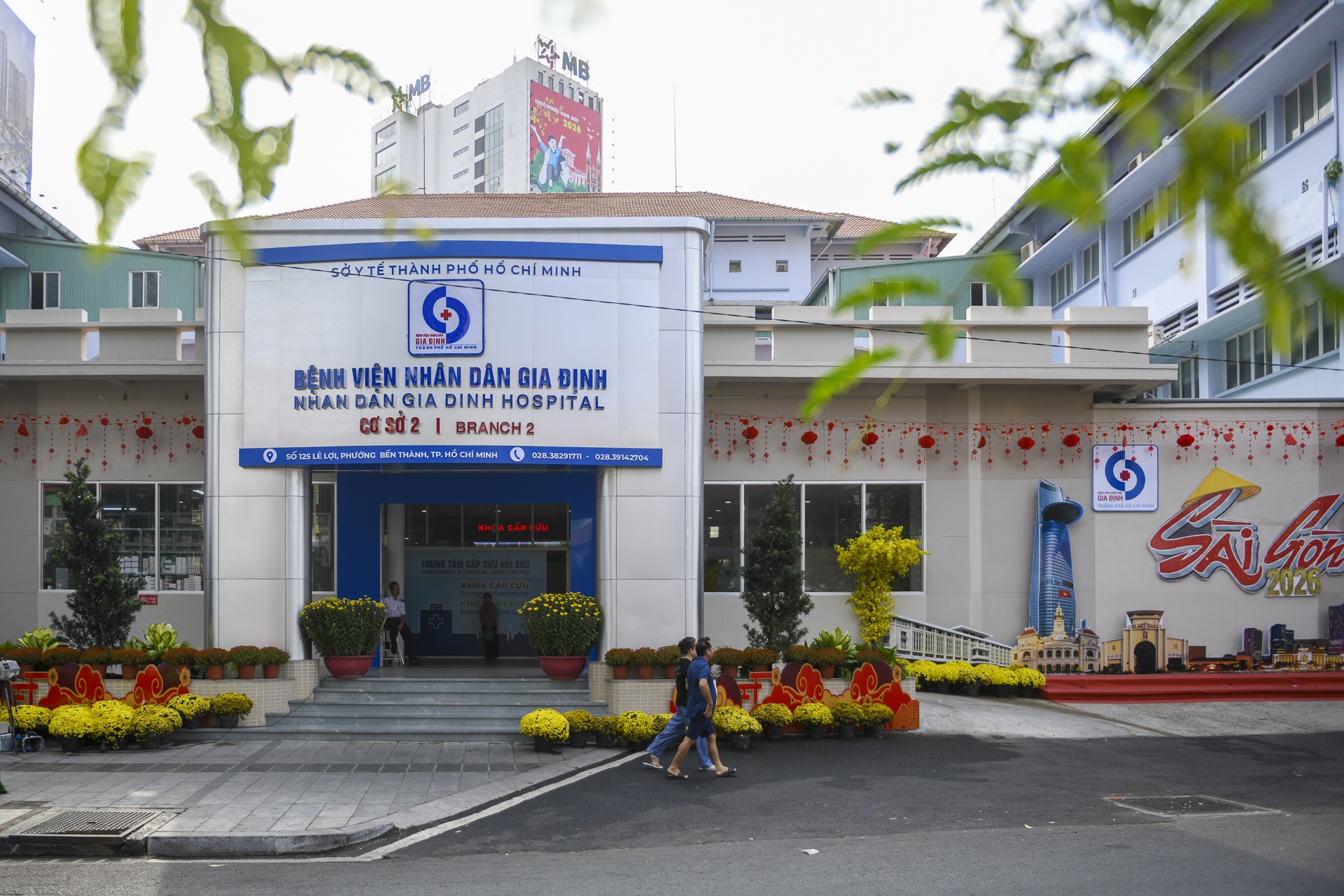 Canh khac la o benh vien tram tuoi giua long TP.HCM hinh anh