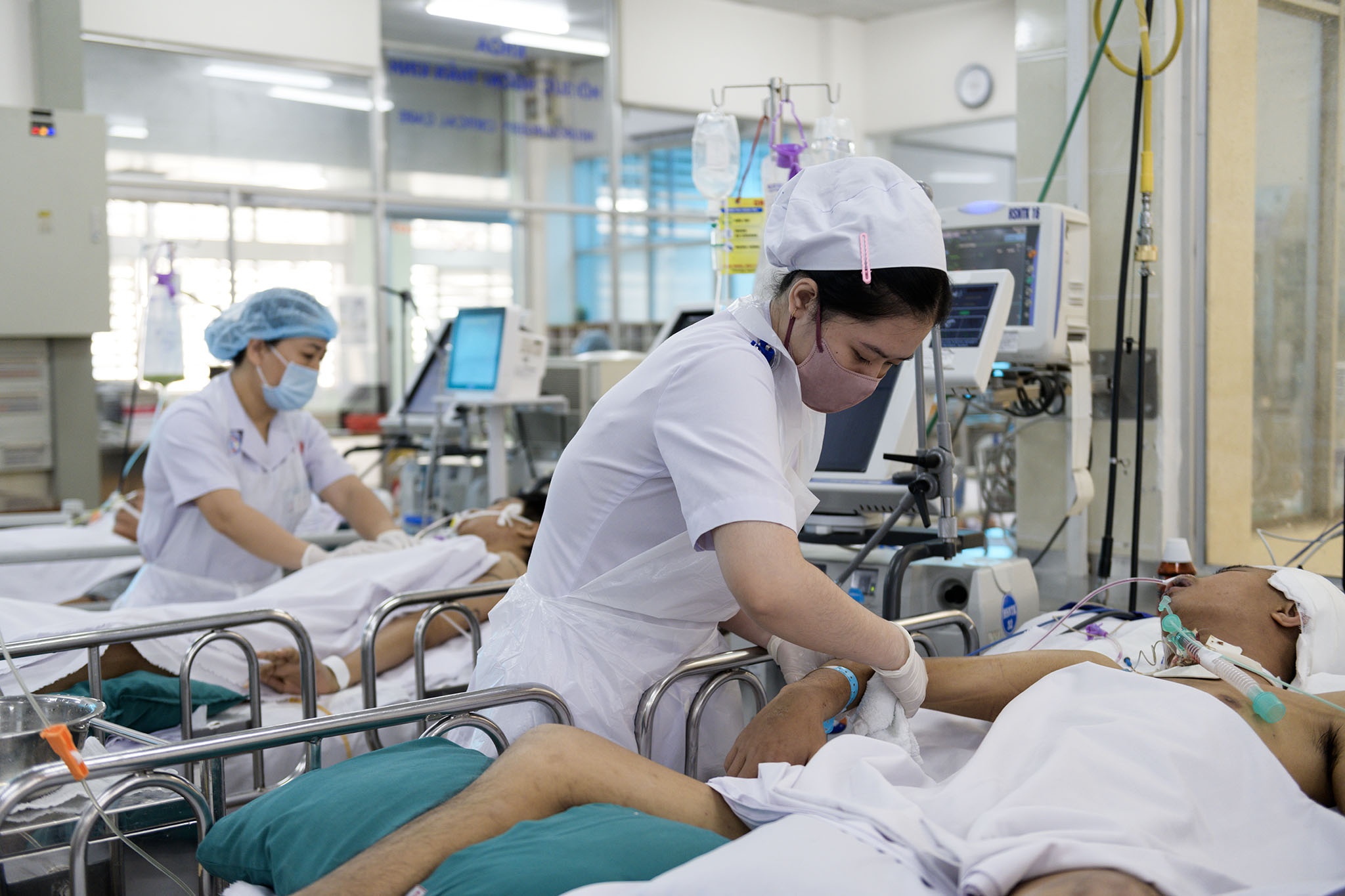 benh vien cho ray anh 5