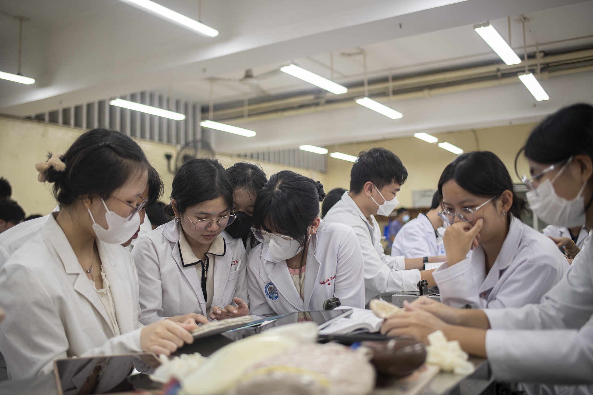 hiến x&aacute;c tại TP.HCM ảnh 14