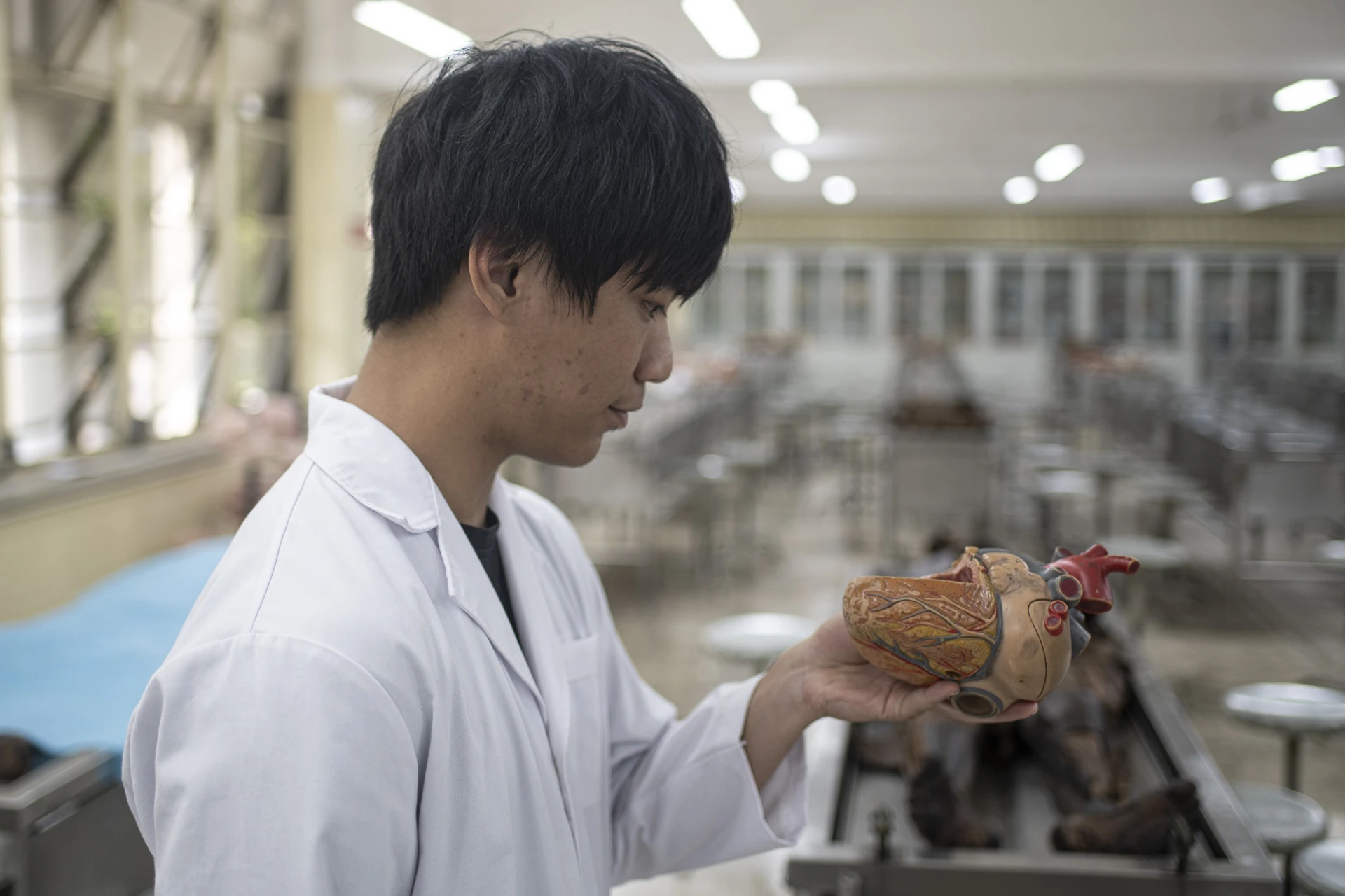 hiến x&aacute;c tại TP.HCM ảnh 13