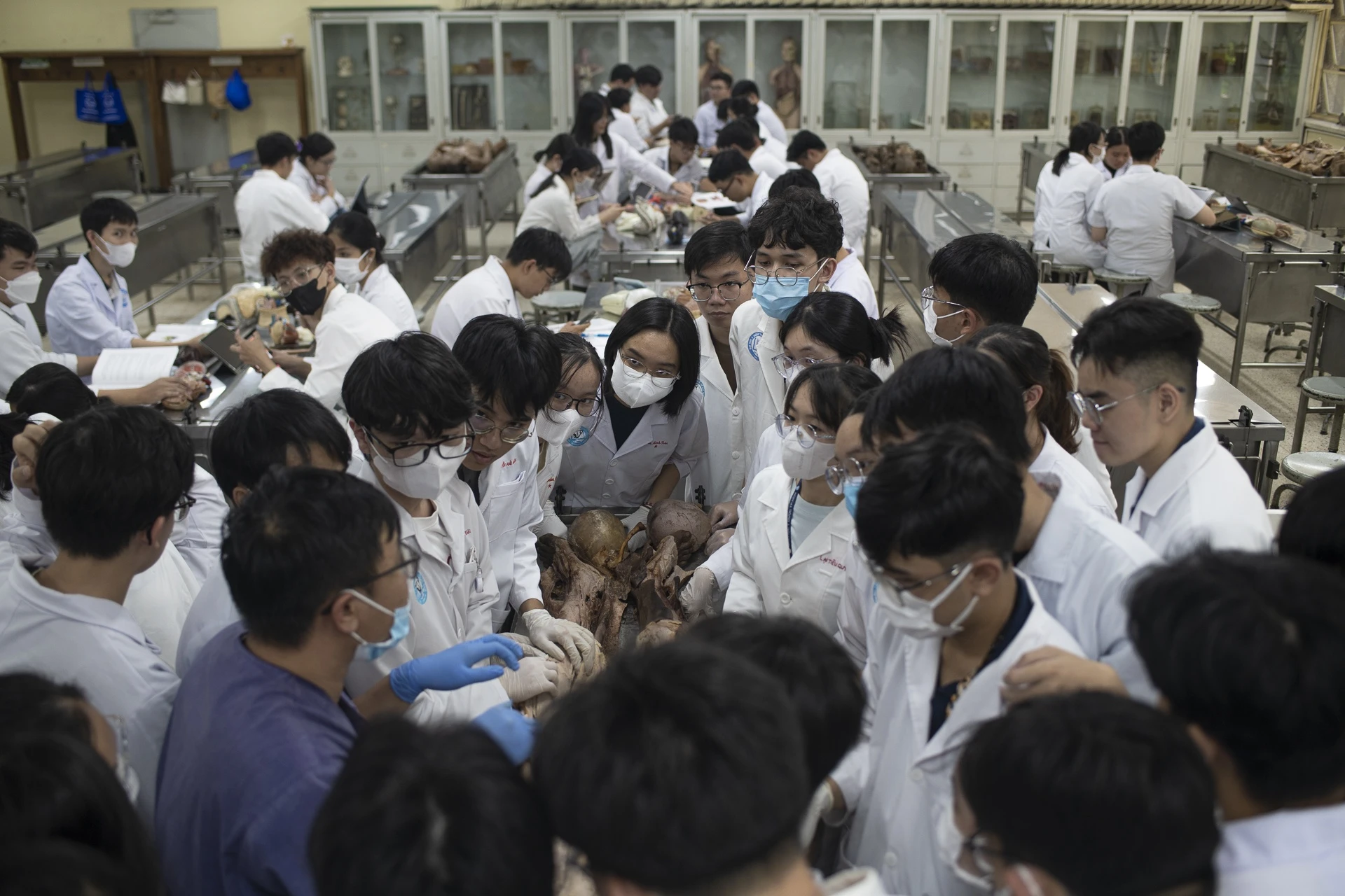 hiến x&aacute;c tại TP.HCM ảnh 9