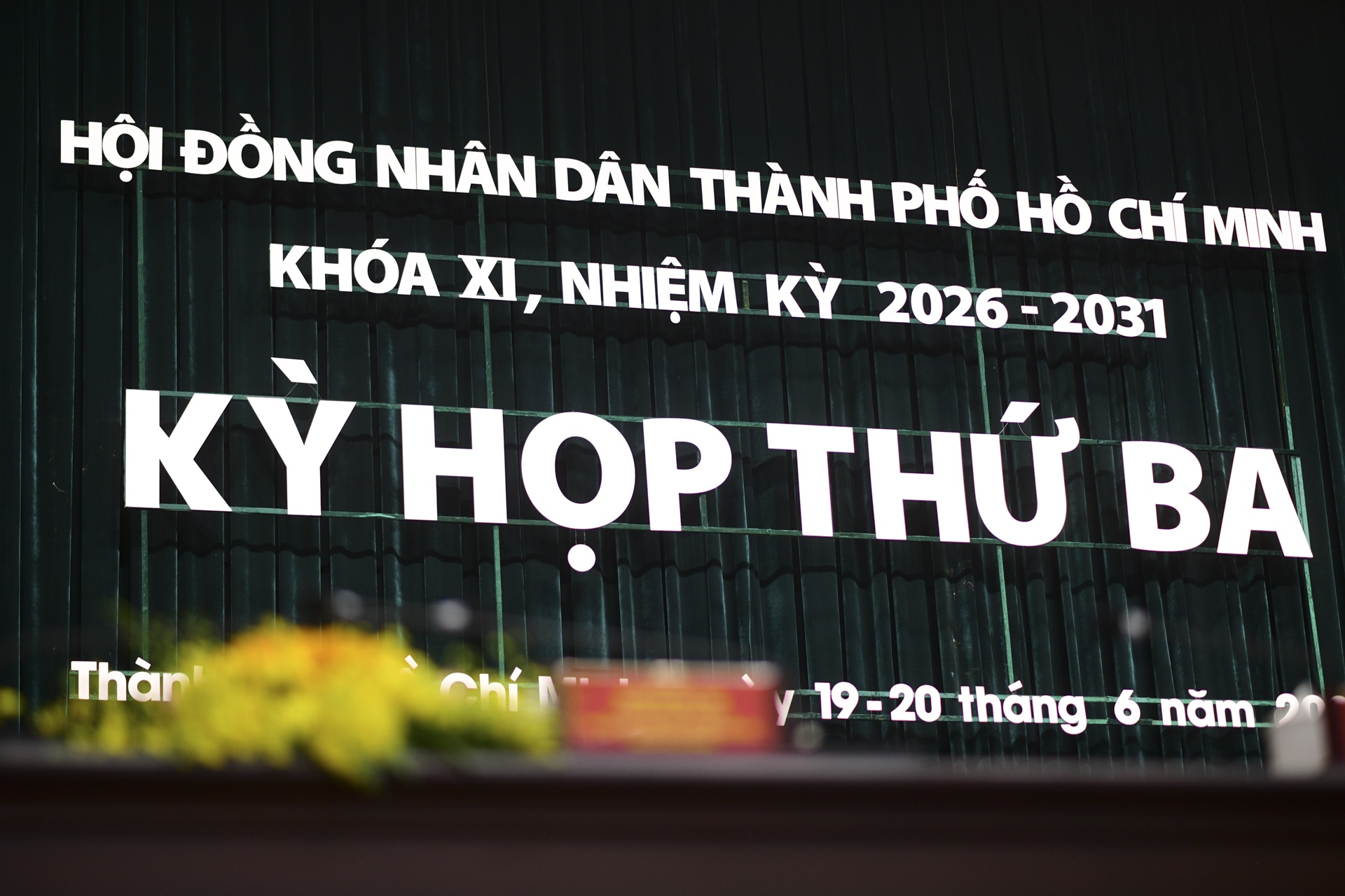 HDND TP.HCM anh 6