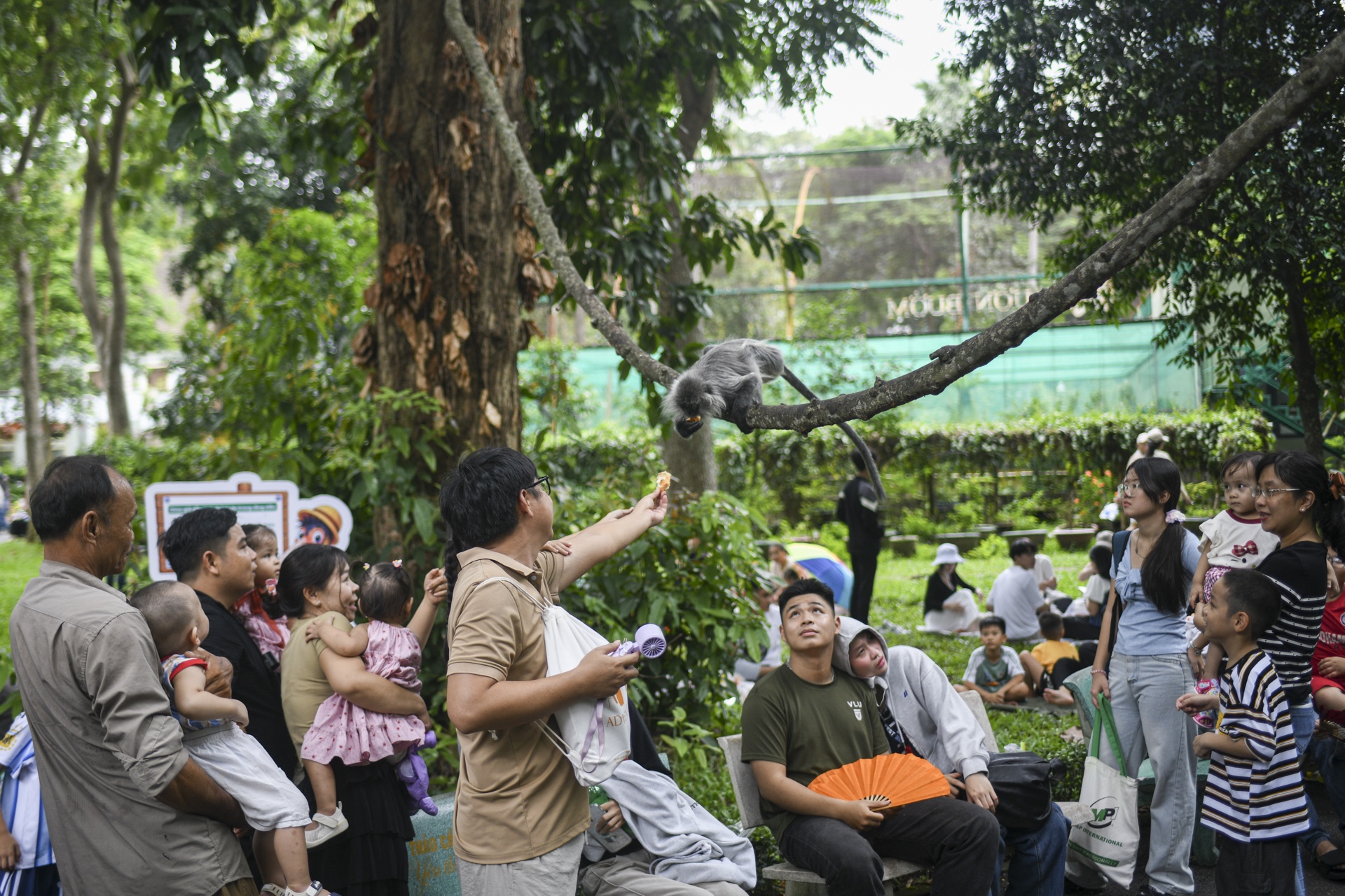 Thảo Cầm Vi&ecirc;n  ảnh 11