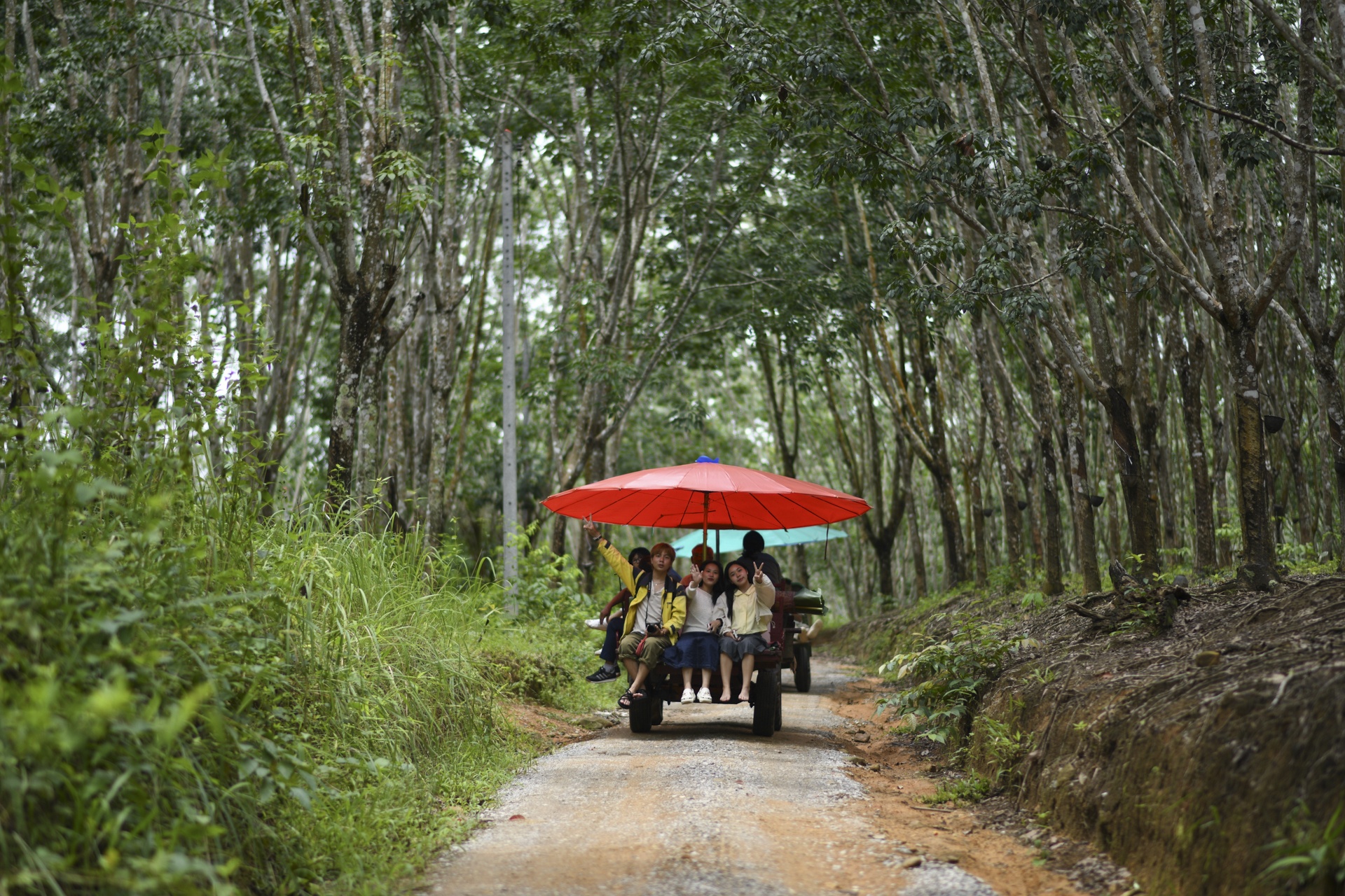Th&aacute;i Lan ảnh 42