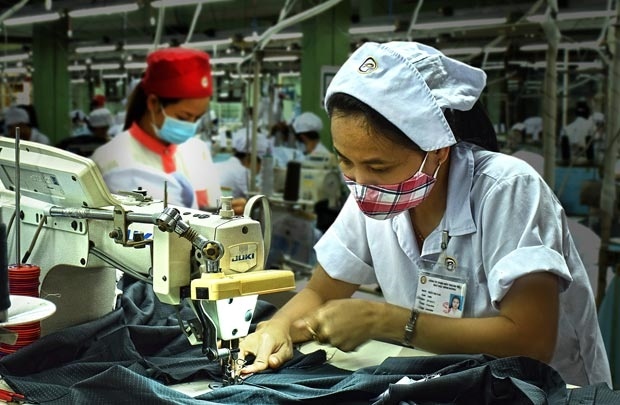 Ong lon ngoai nhanh chan thong linh thi truong det may Viet hinh anh