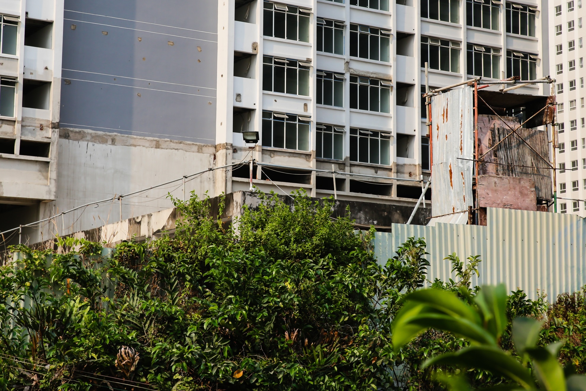 du an dap chieu 5 nam anh 12